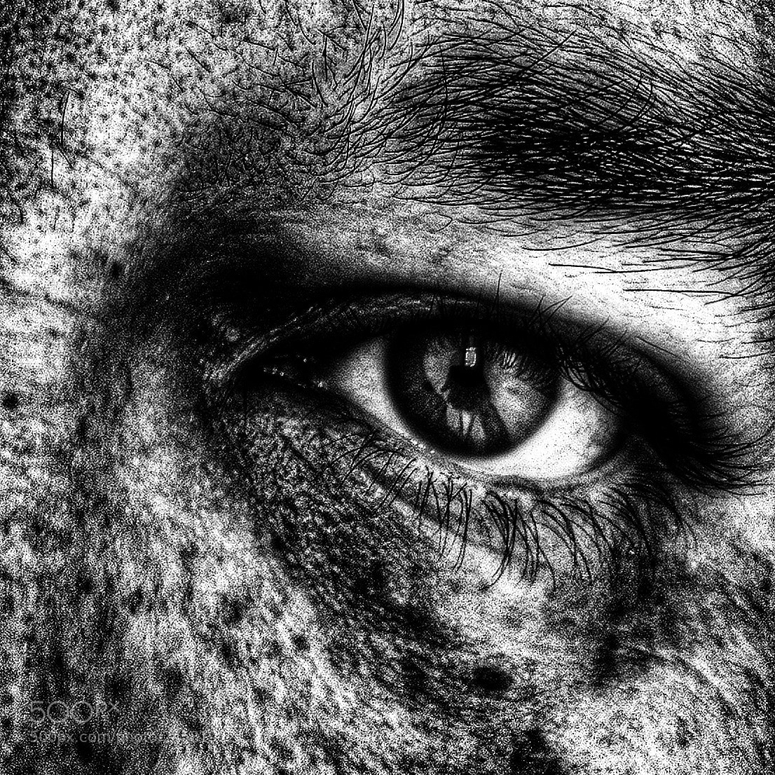 Apple iPhone 4 sample photo. Mi ojo photography