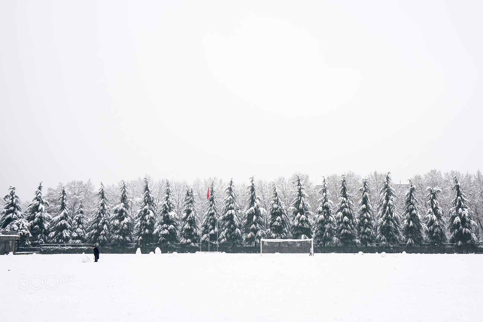 Sony a7R II sample photo. Winter steps photography