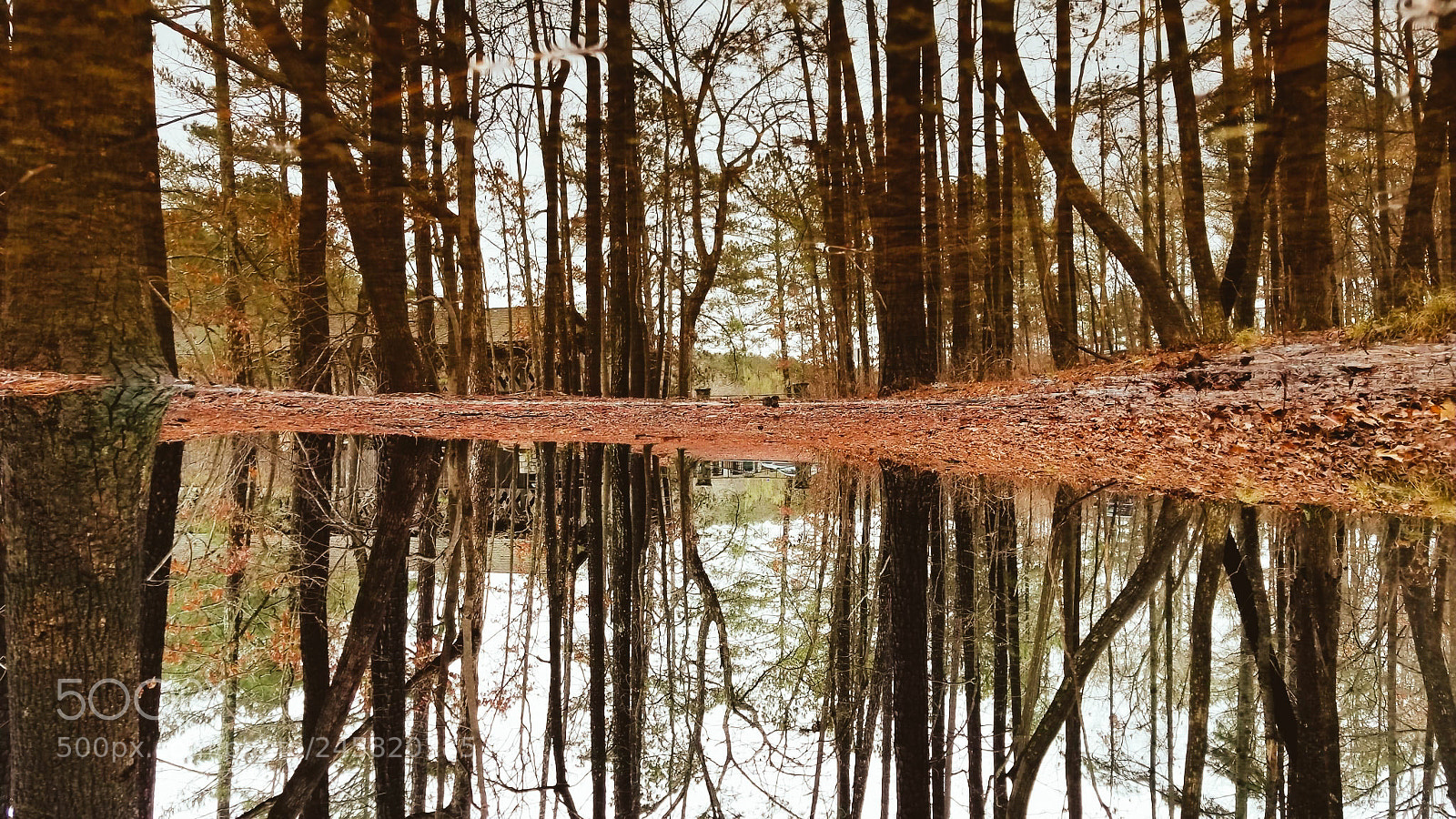 Samsung Galaxy S8 sample photo. Nature... photography