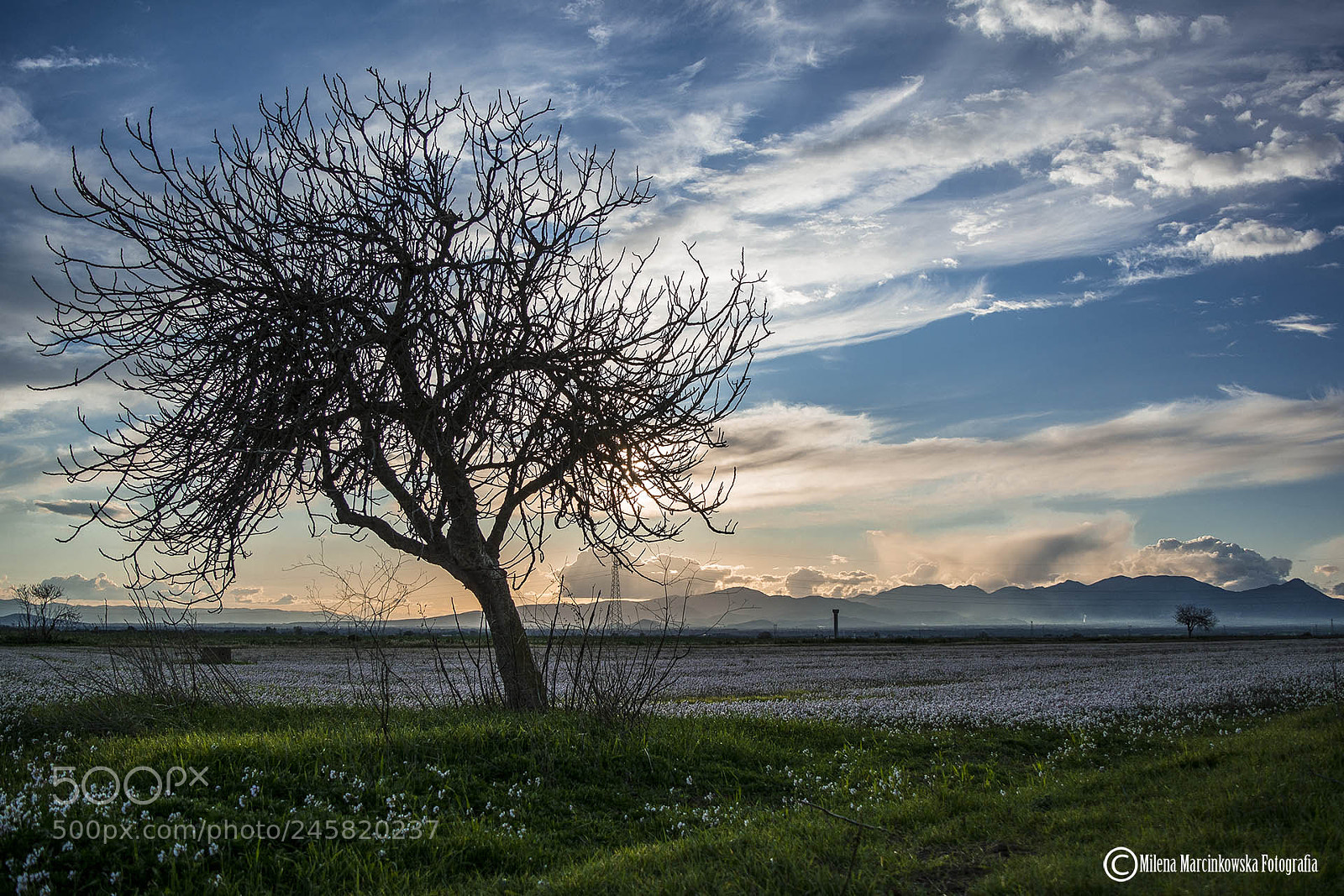 Nikon D5200 sample photo. Tranquility -  sardinia photography