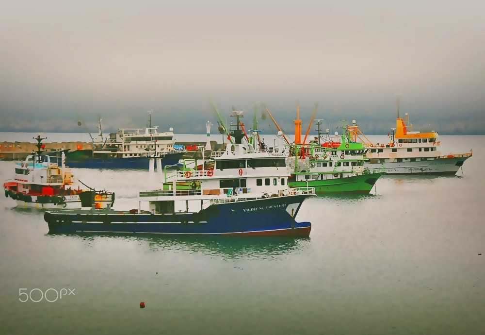 Nikon D5000 sample photo. ** photography