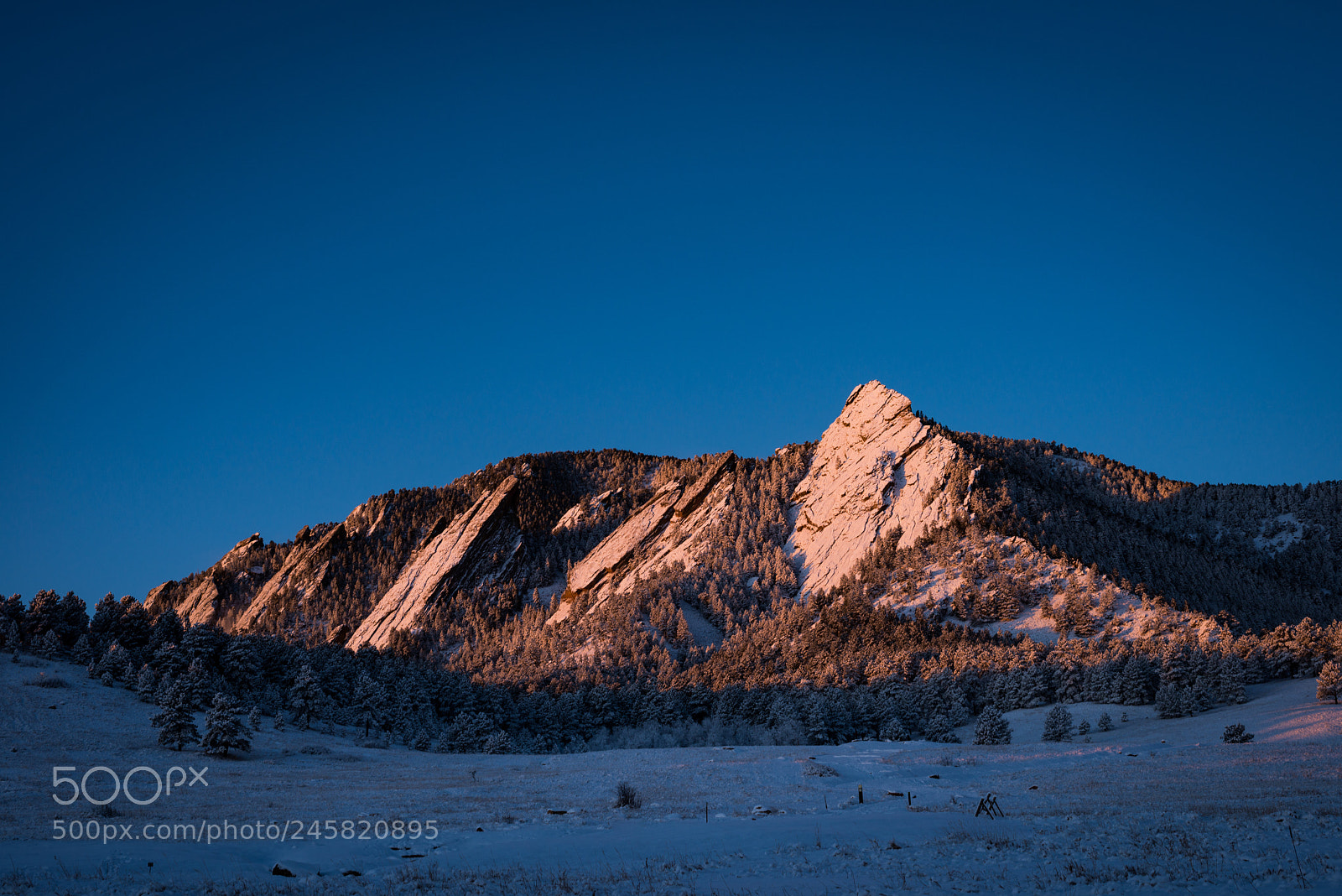 Nikon D800E sample photo. Frozen flatiron sunrise photography