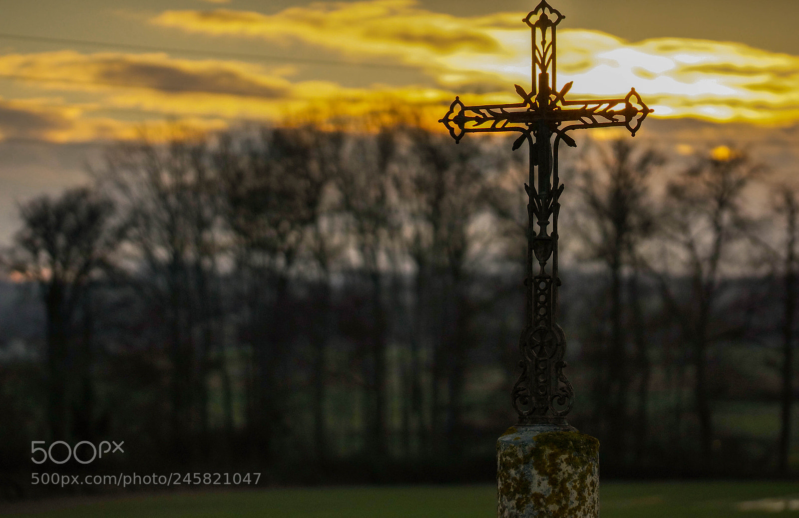 Sony SLT-A57 sample photo. Au bergit photography