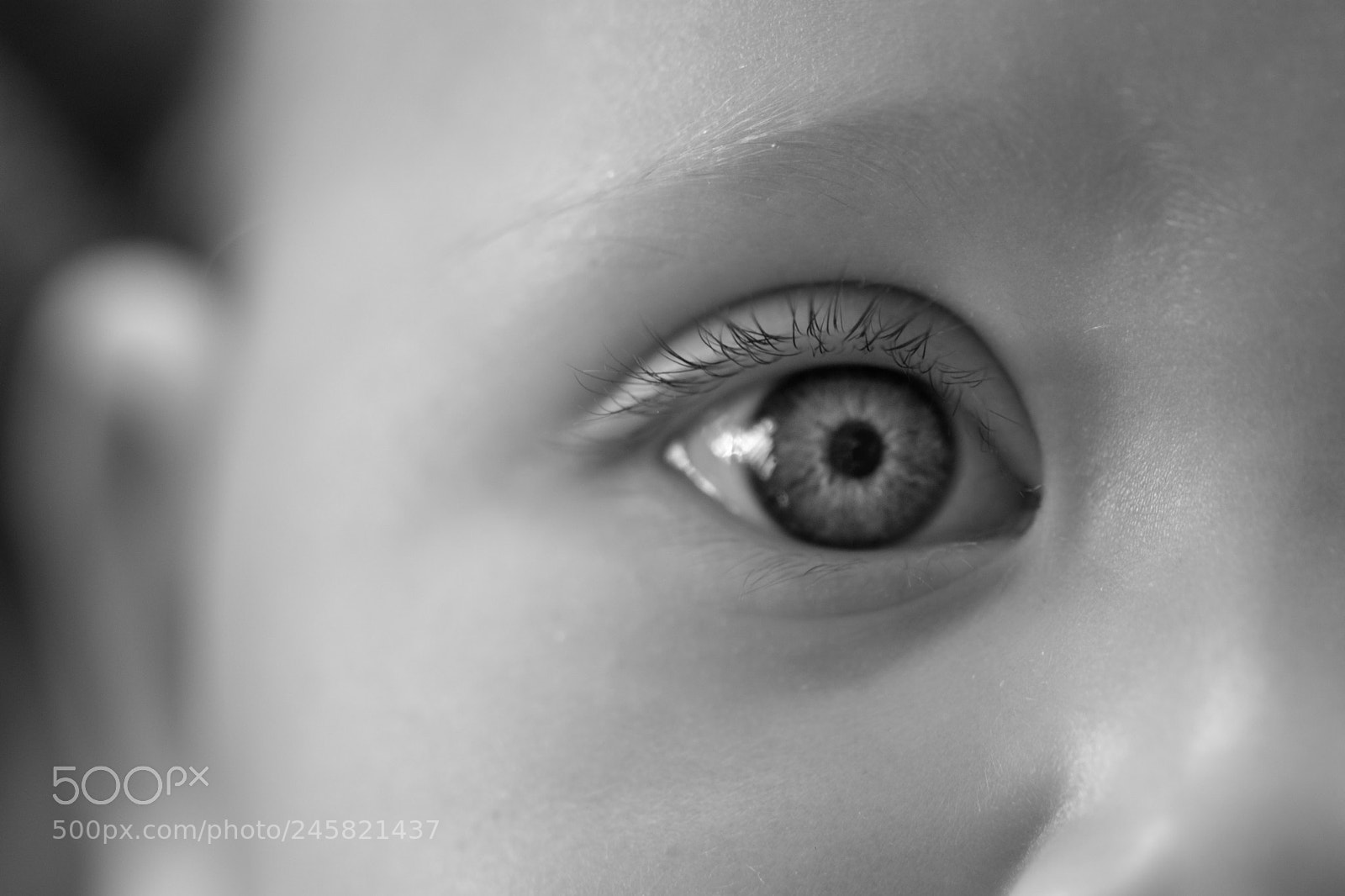 Nikon D7200 sample photo. Pure photography