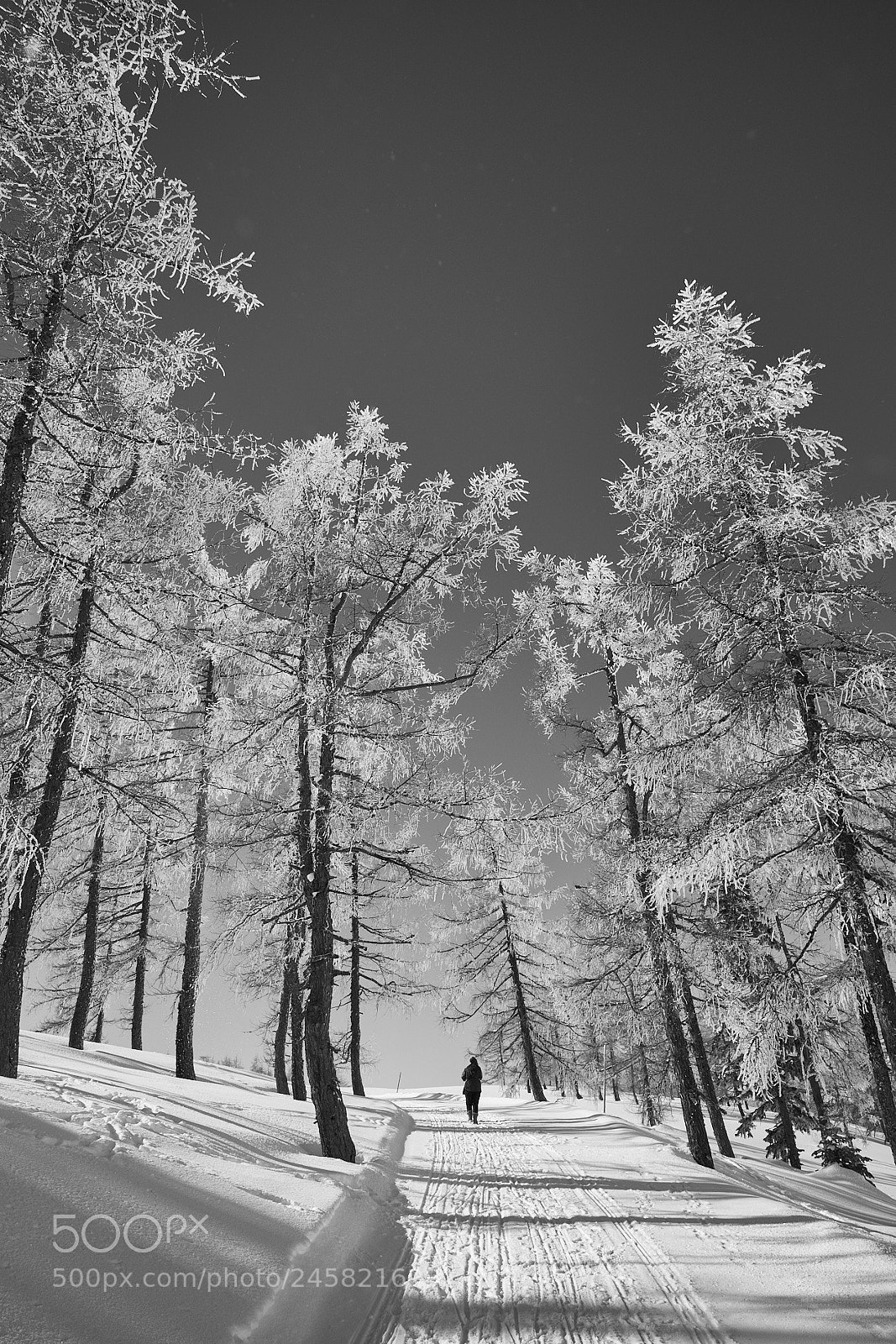 Fujifilm X-T10 sample photo. Spaziergang photography