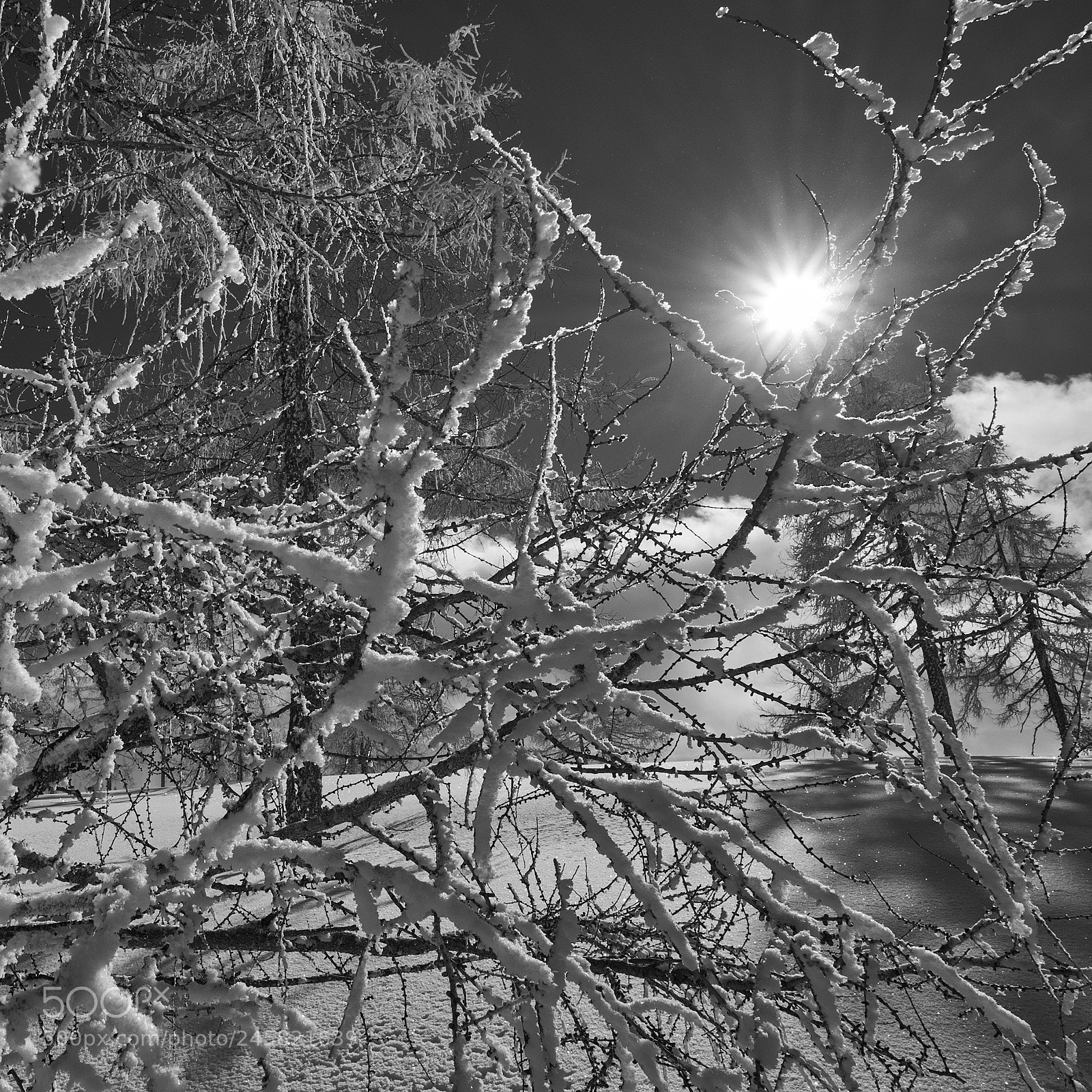 Fujifilm X-T10 sample photo. Wintersun photography