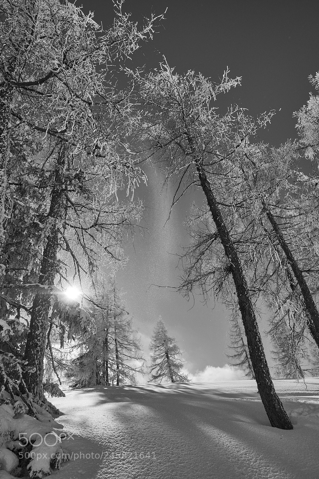 Fujifilm X-T10 sample photo. Snowdream photography