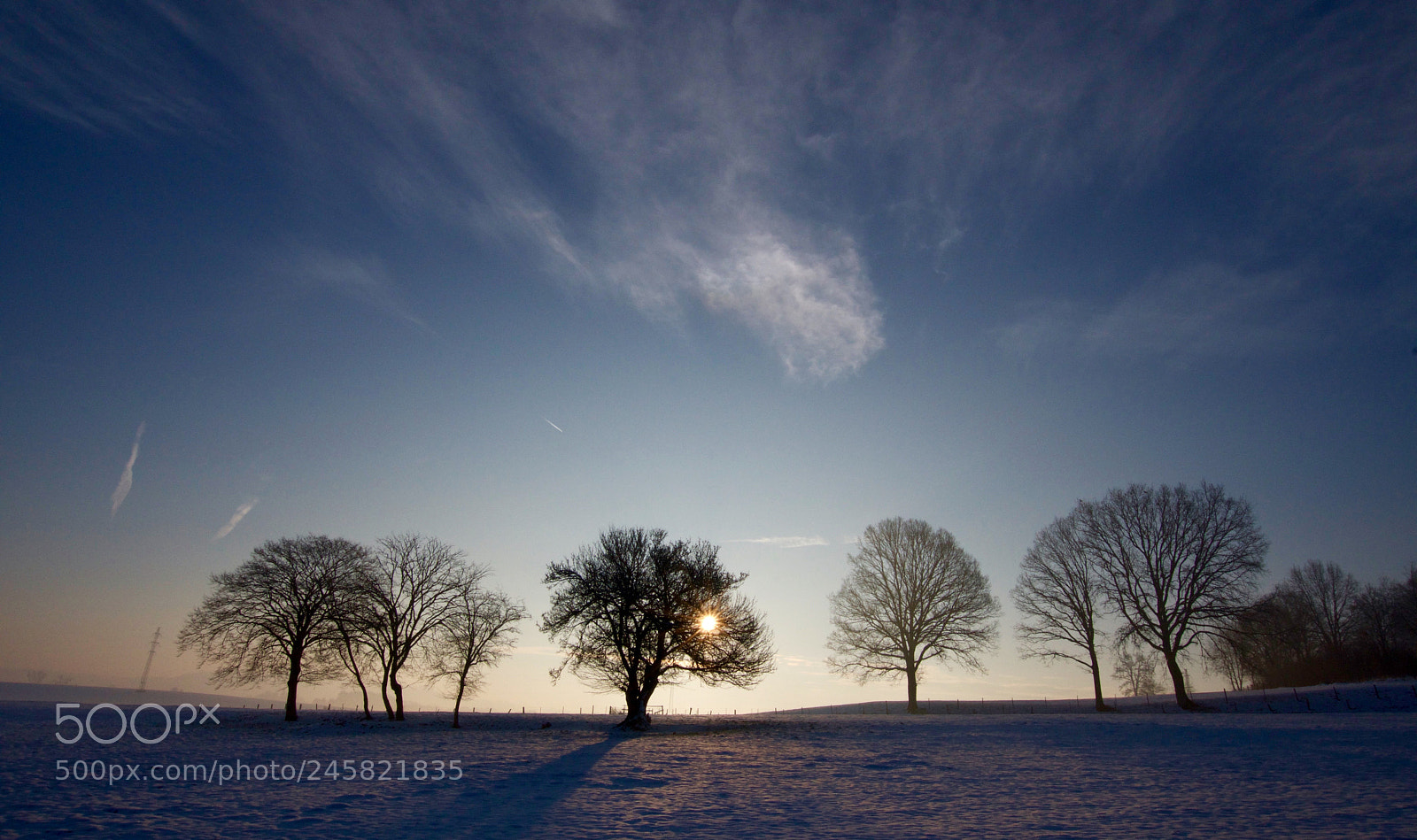Nikon D500 sample photo. Untitled photography