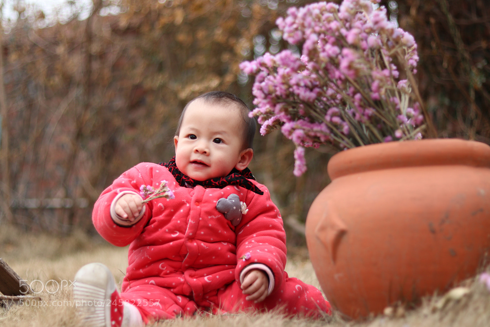 Canon EOS 80D + Canon EF 50mm F1.8 STM sample photo. 果果 photography