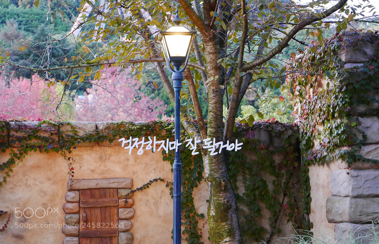 Panasonic Lumix DMC-LX100 sample photo. Don’t worry photography