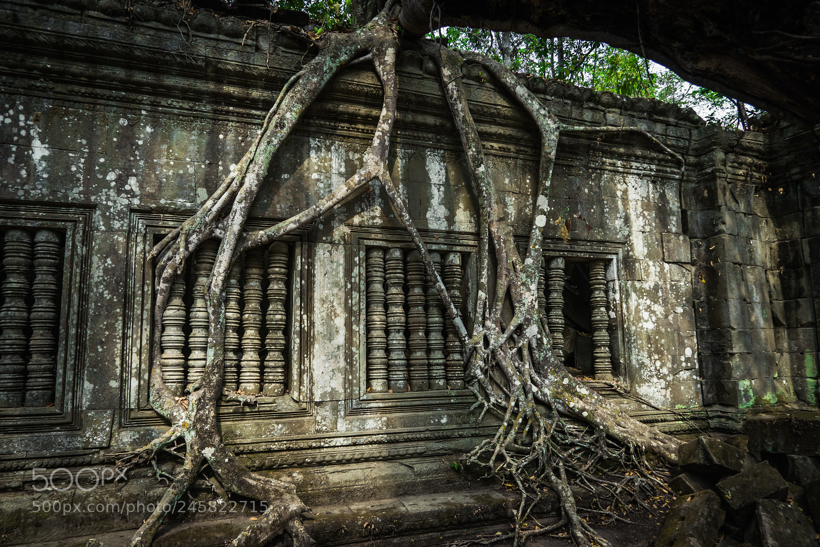 Sony a7R sample photo. Beng malea photography