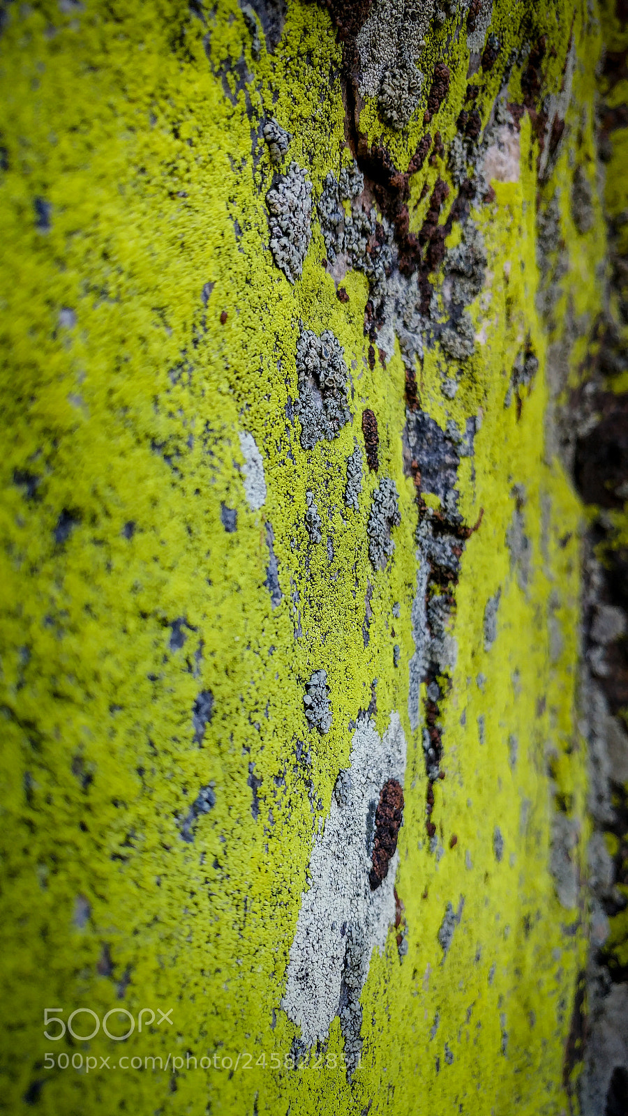 LG G5 sample photo. Hdr photography