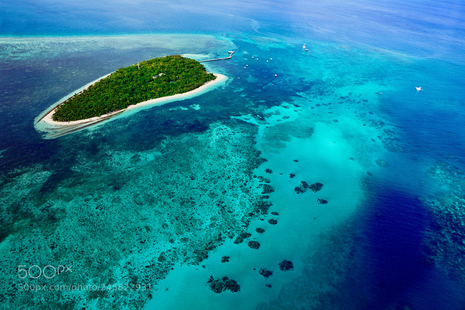 Sony a7R II sample photo. Great barrier reef photography