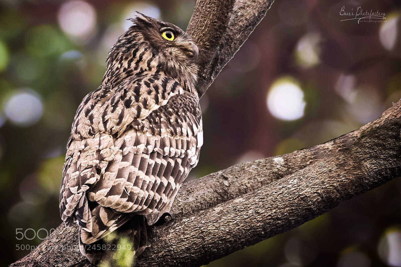 Nikon D810 sample photo. The cool and calm photography