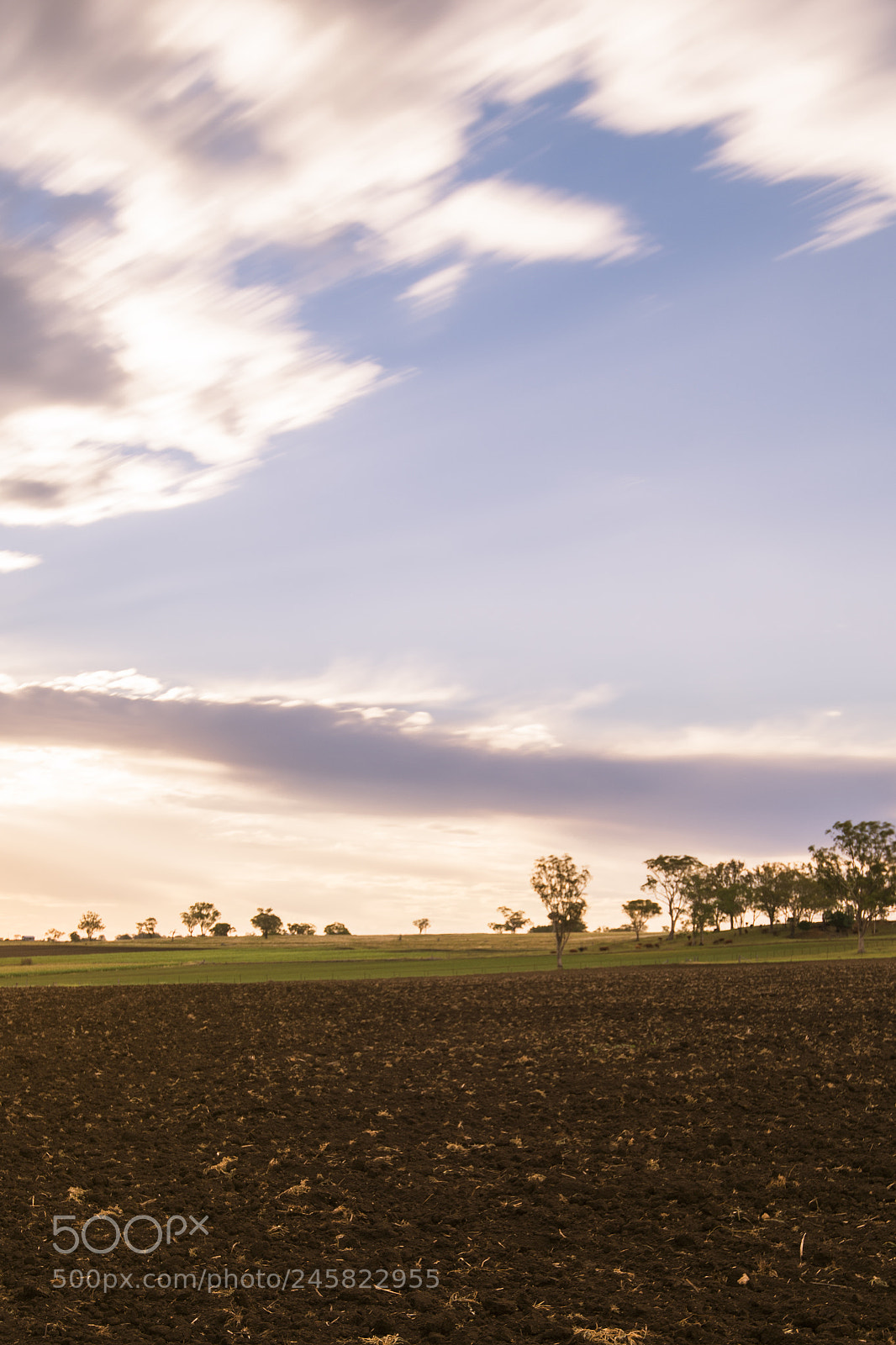 Nikon D800 sample photo. Farming field in toowoomba photography