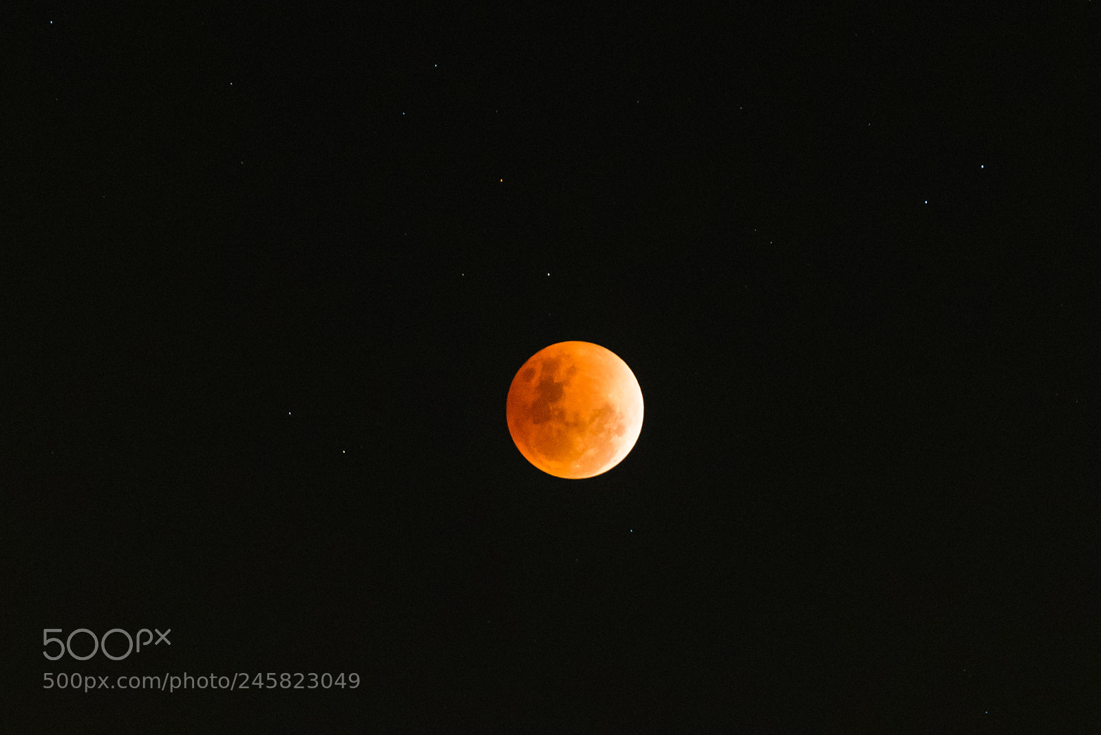 Nikon D810 sample photo. Super blue blood moon photography