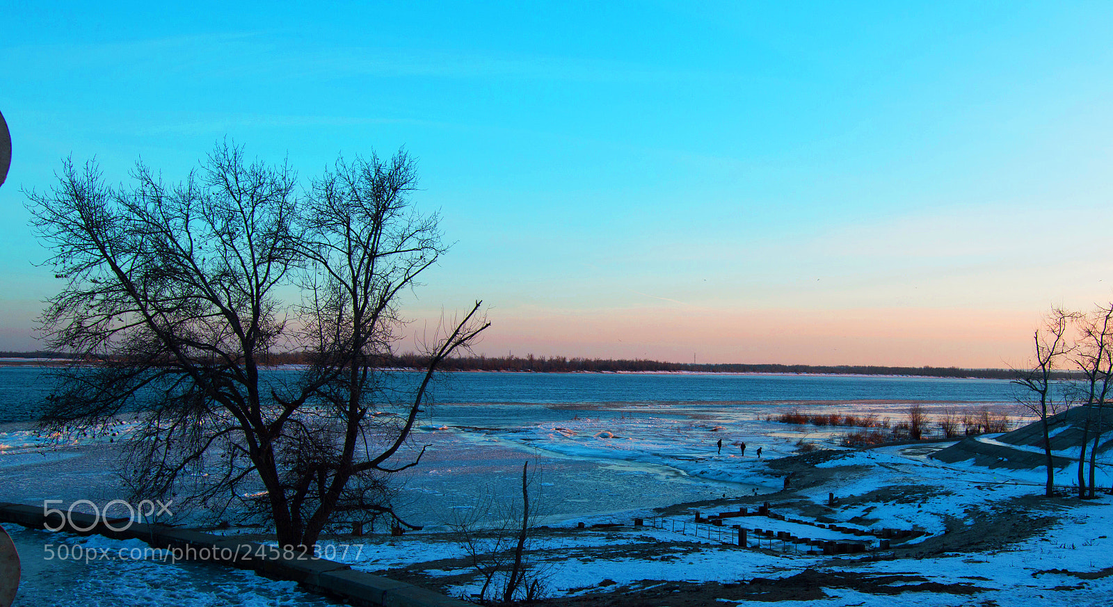 Nikon D3200 sample photo. ДЕРЕВО У РЕКИ photography