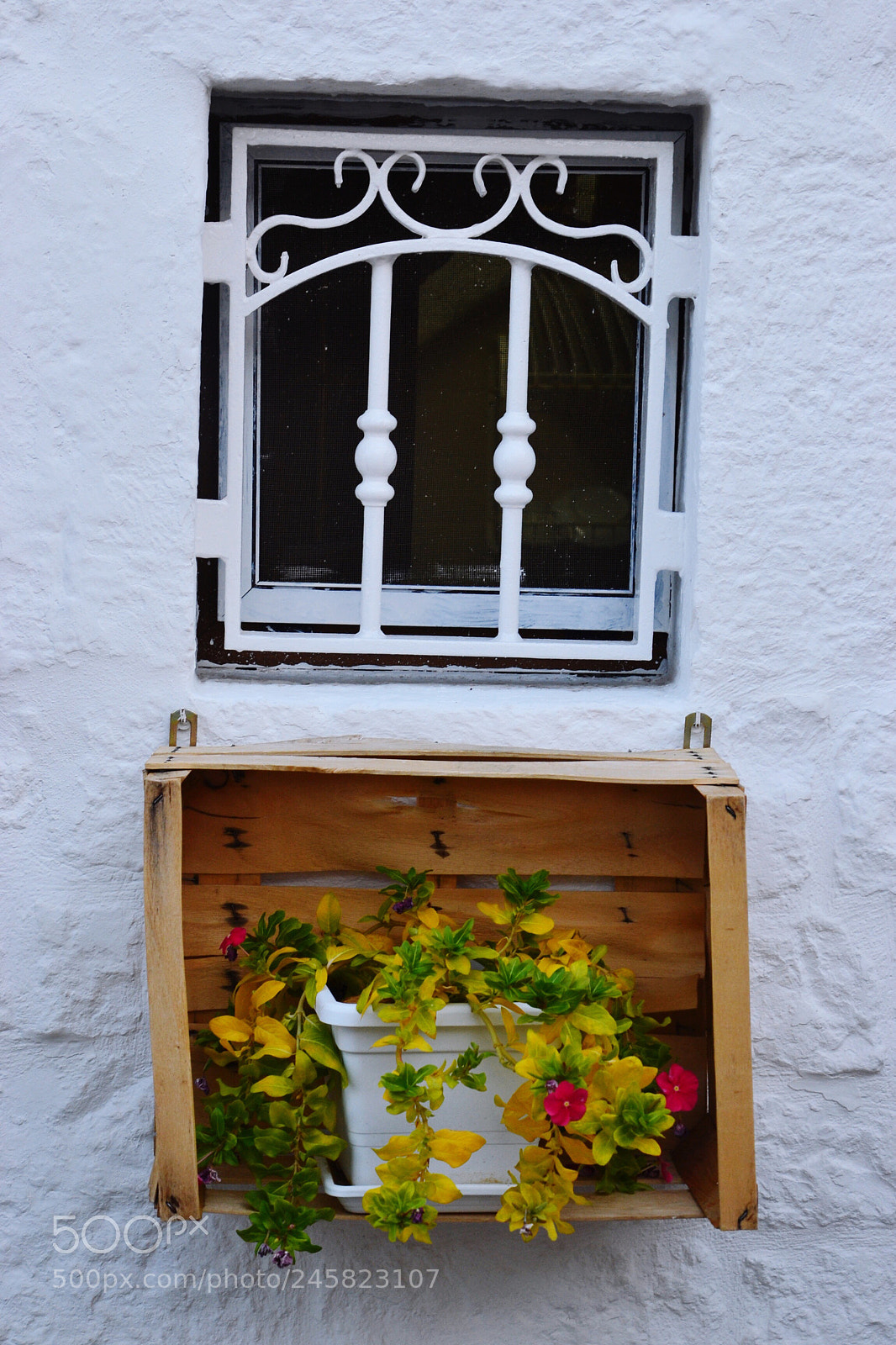 Nikon D3100 sample photo. Untitled photography