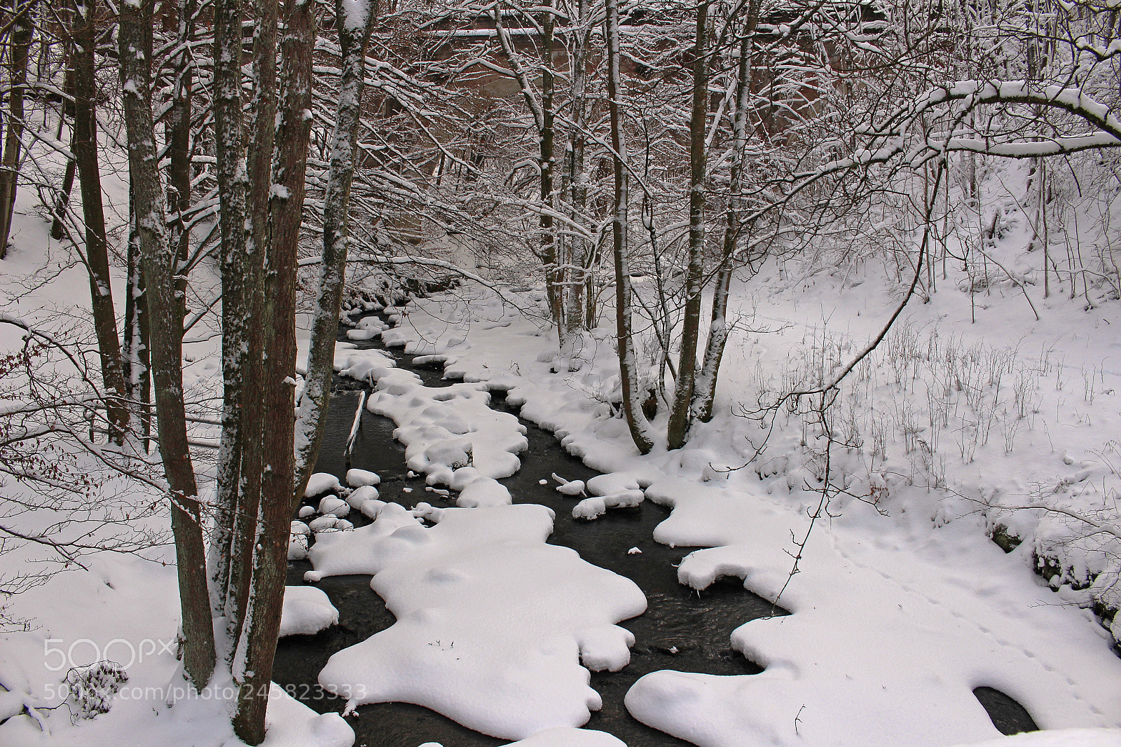 Canon EOS 700D (EOS Rebel T5i / EOS Kiss X7i) sample photo. Snow photography