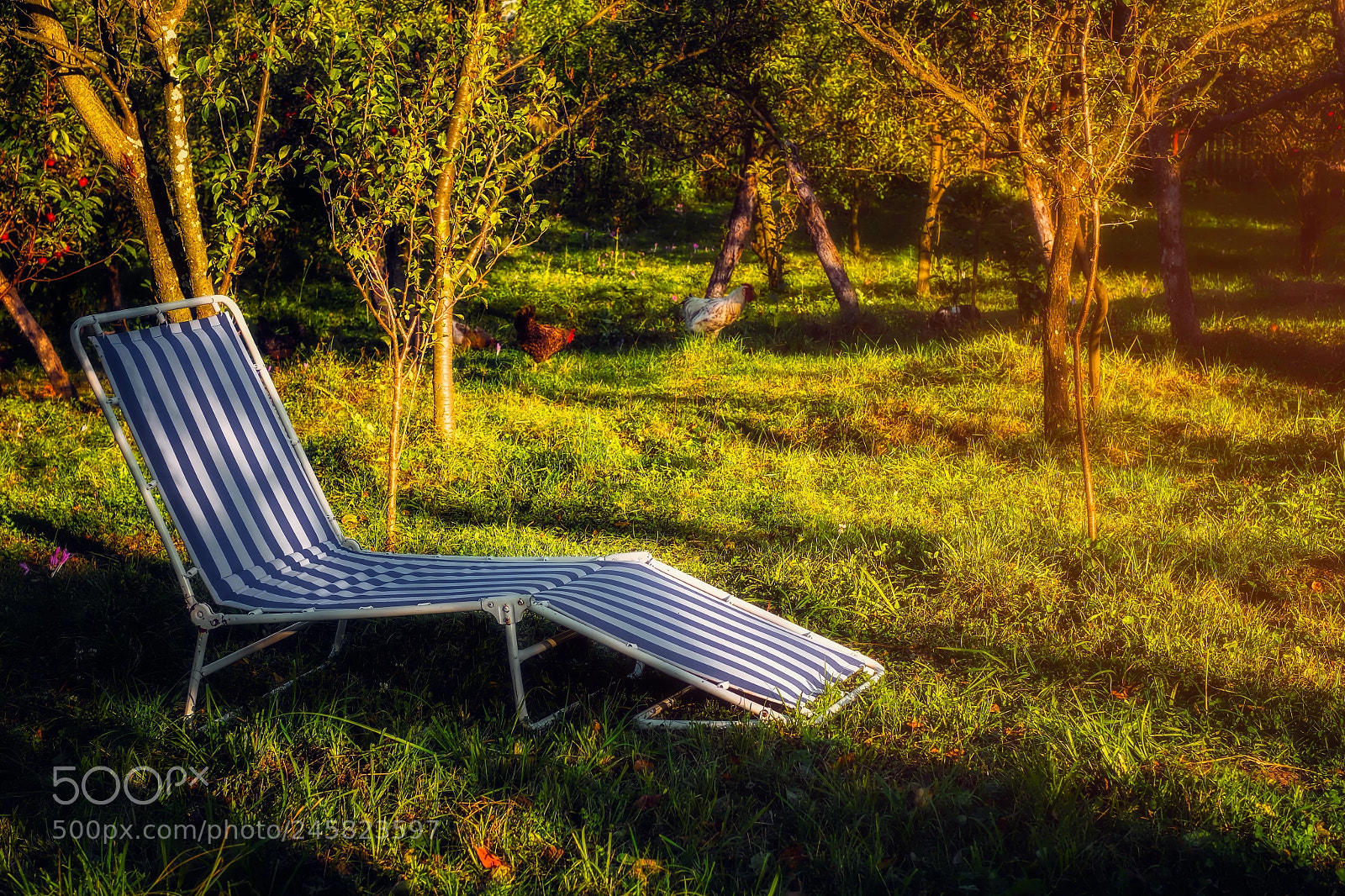 Fujifilm X-M1 sample photo. Relaxation photography
