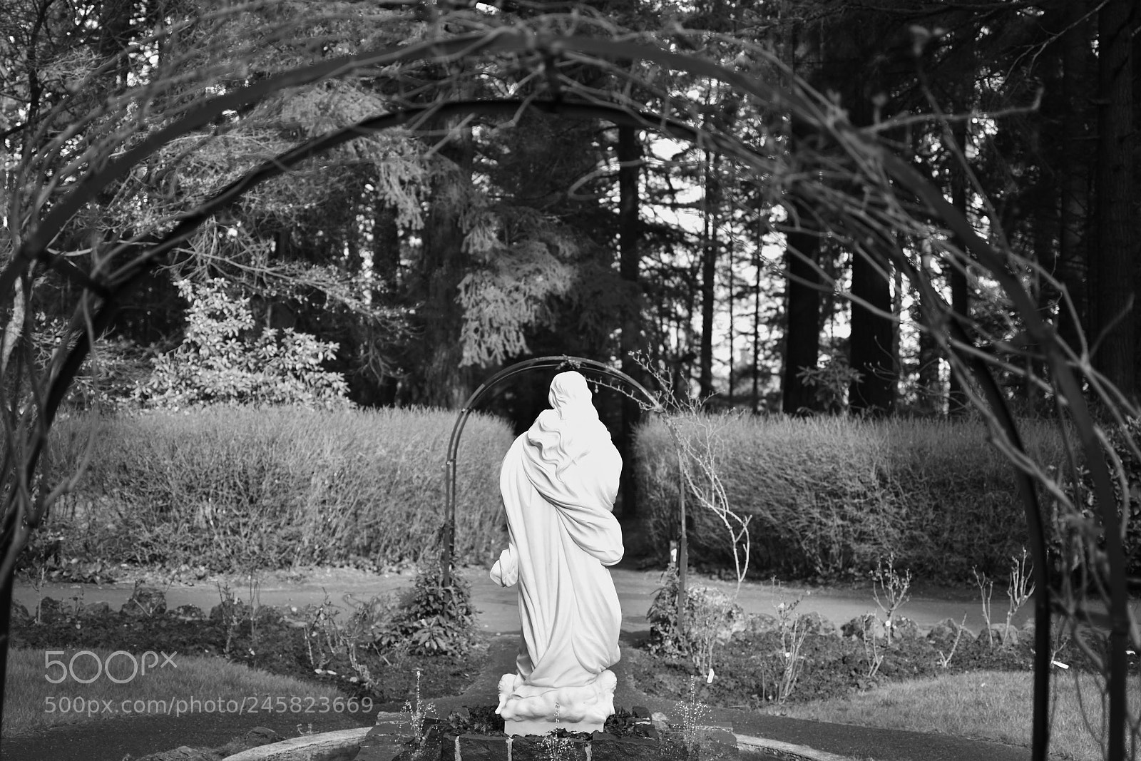 Nikon D3400 sample photo. Into the mystic photography