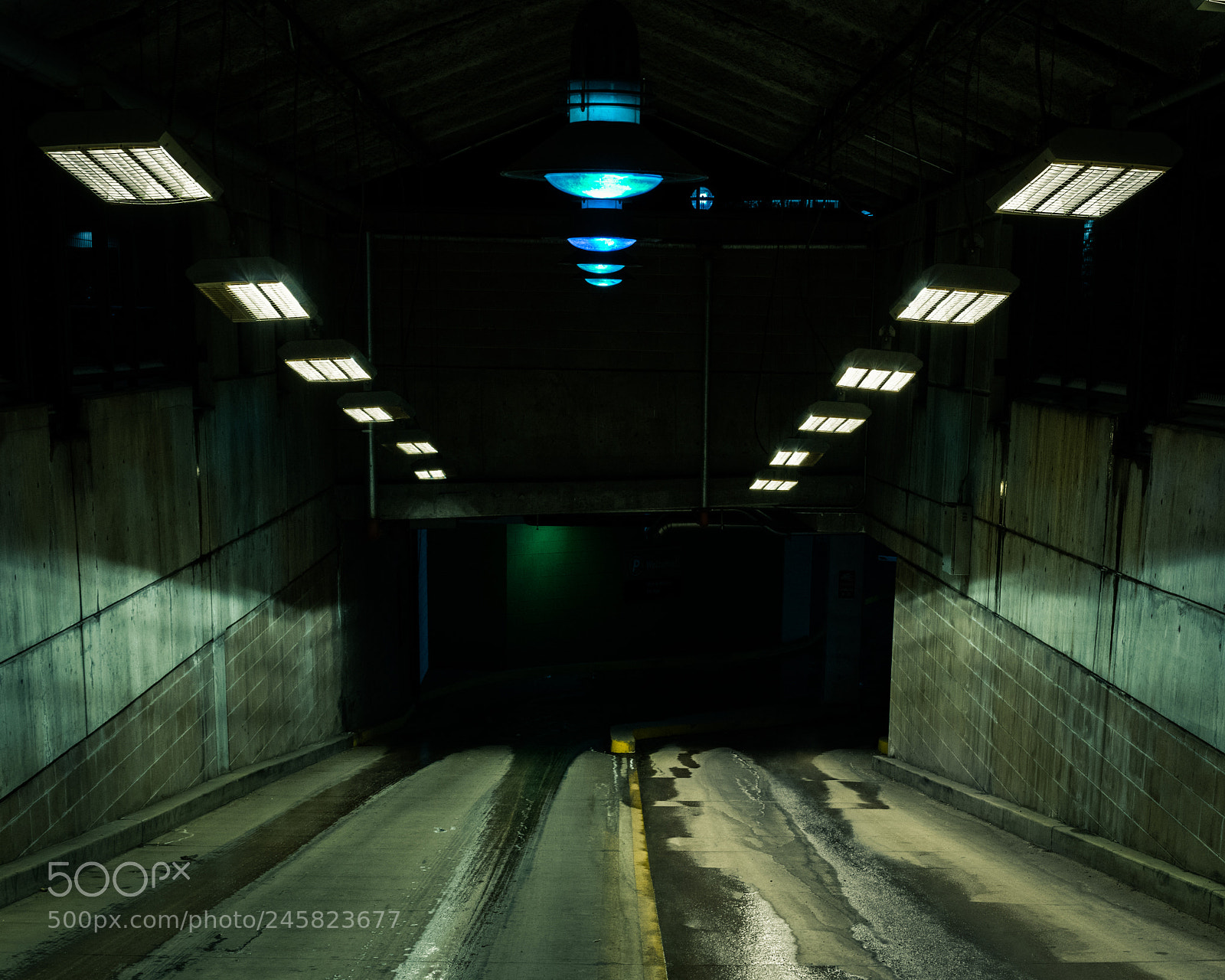 Nikon D800E sample photo. Matrix vibes photography