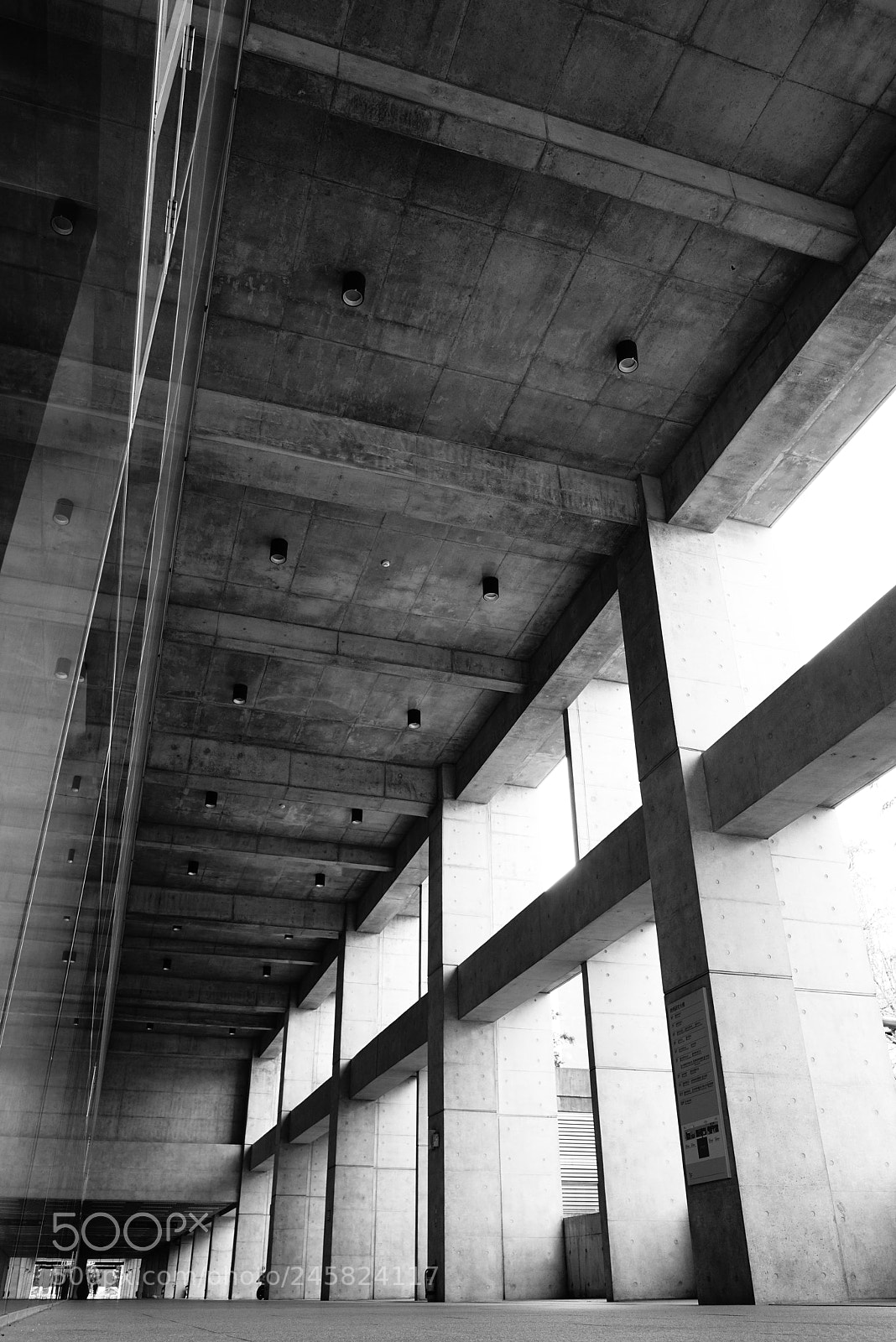 Sony a7R sample photo. Untitled photography
