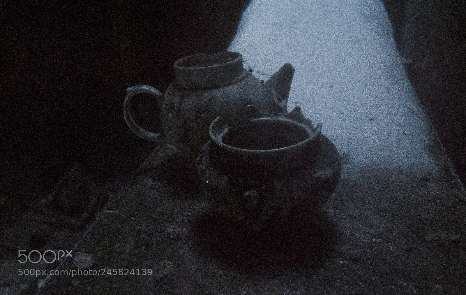 Nikon D3000 sample photo. Fragile time photography