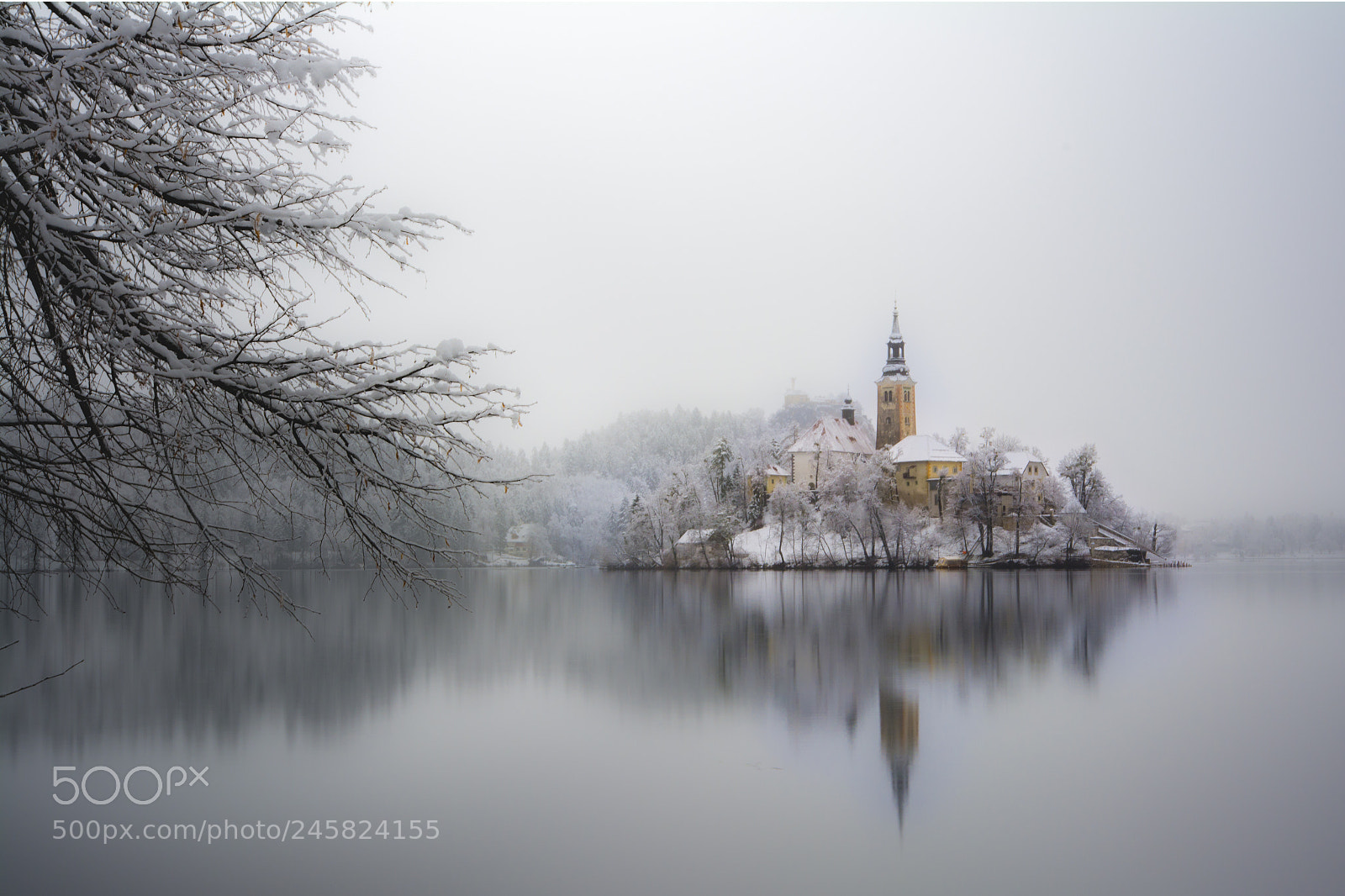 Nikon D7100 sample photo. Lake bled, slovenia photography
