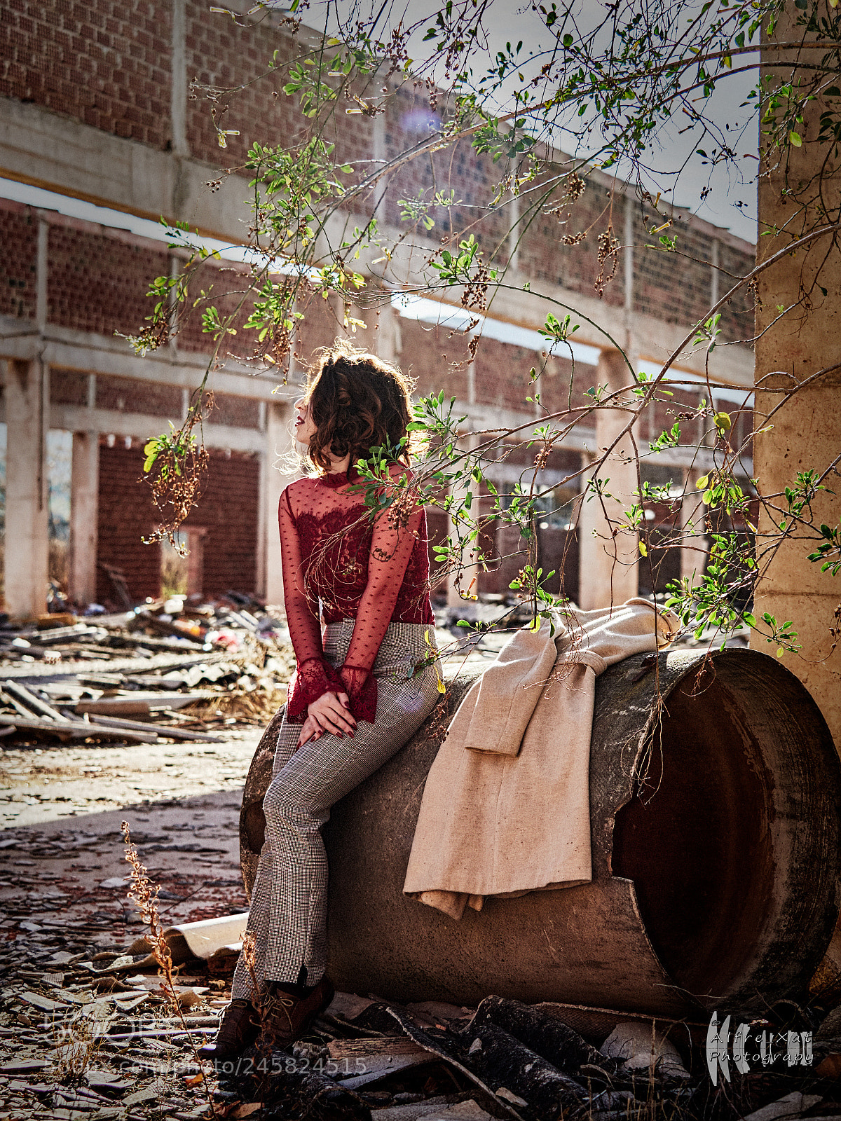 Olympus OM-D E-M1 Mark II sample photo. Reborn among ruins photography