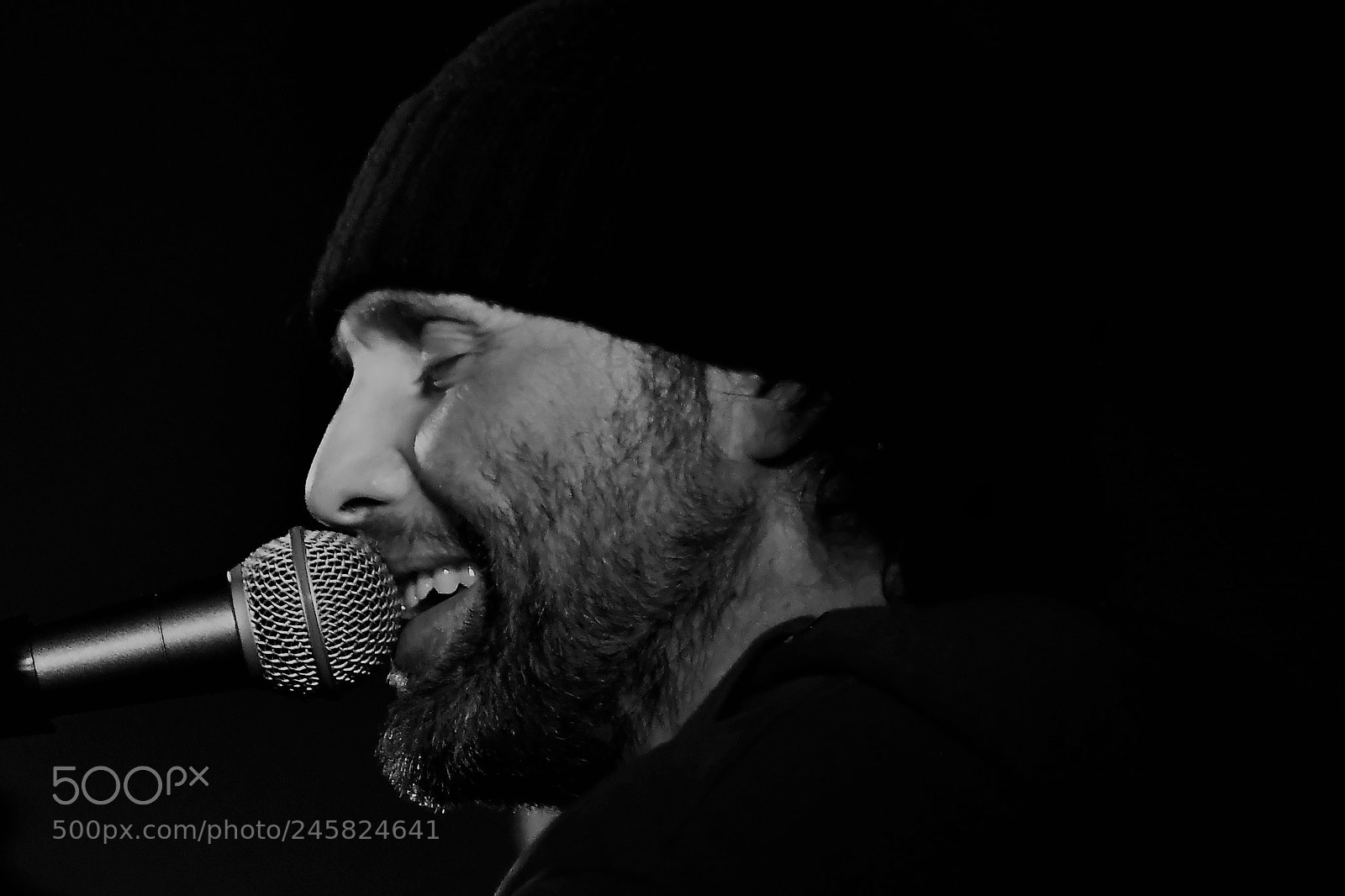 Nikon D500 sample photo. In concert - driftwood photography