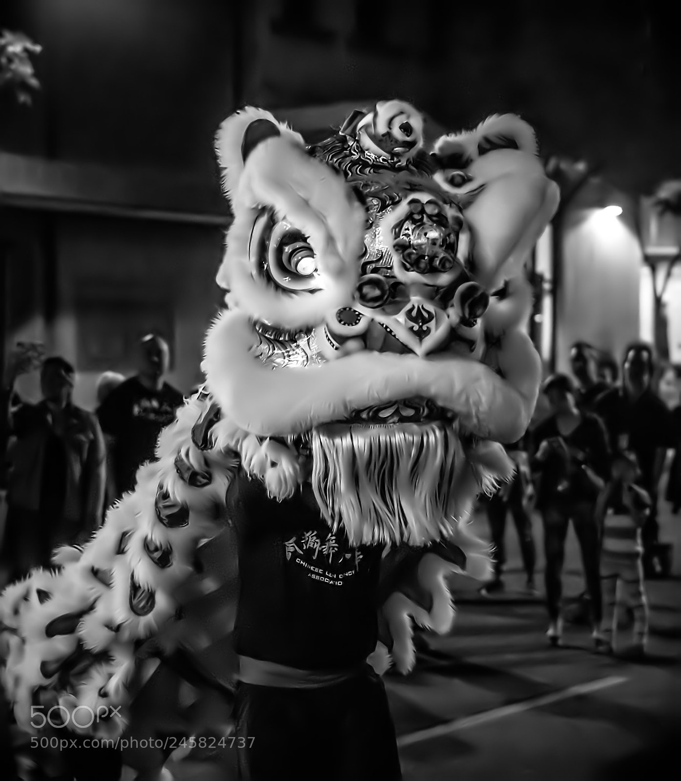 Sony a6300 sample photo. Gook luck dancing lion photography