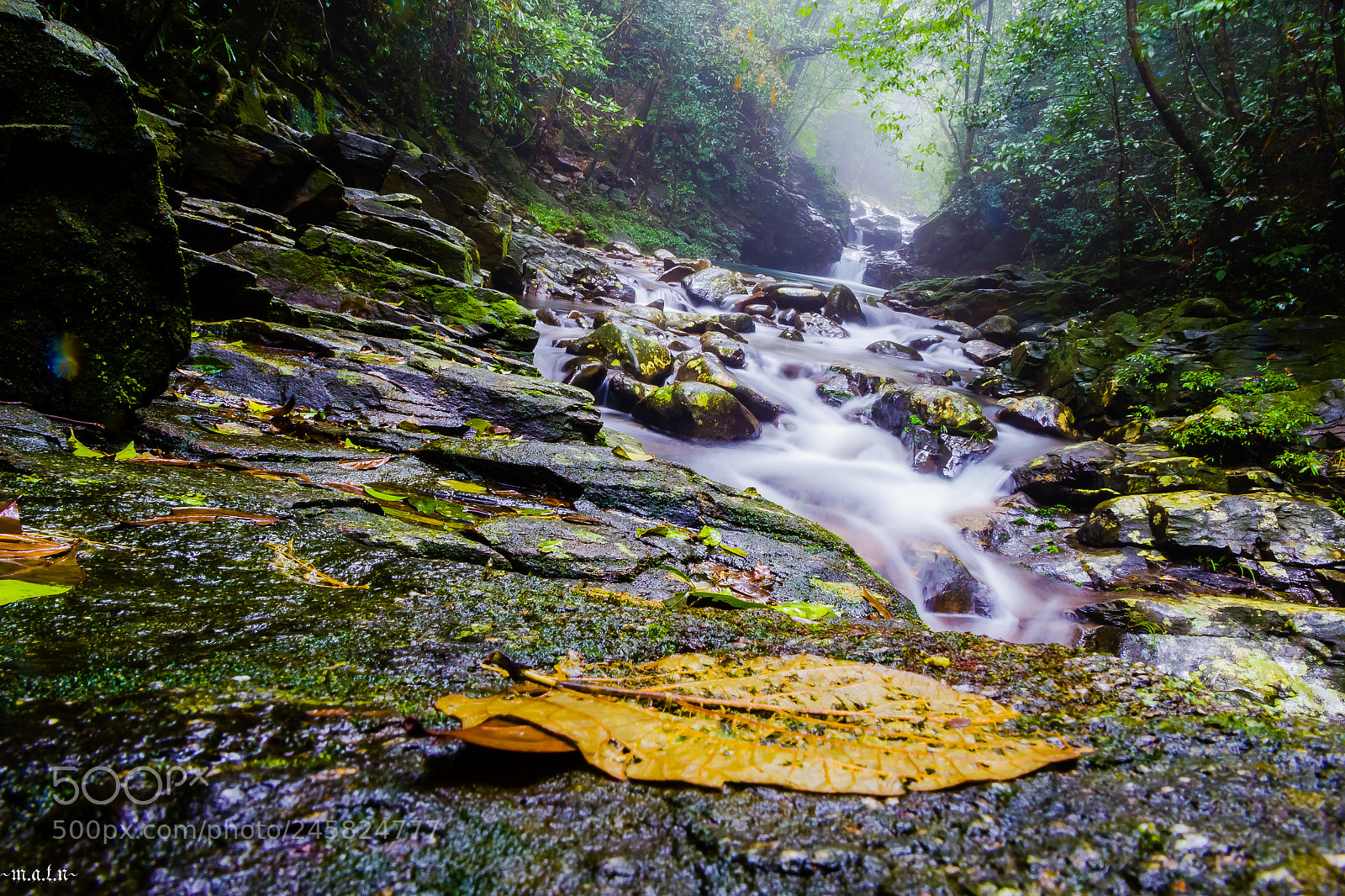 Canon EOS 60D sample photo. Falling down.. photography
