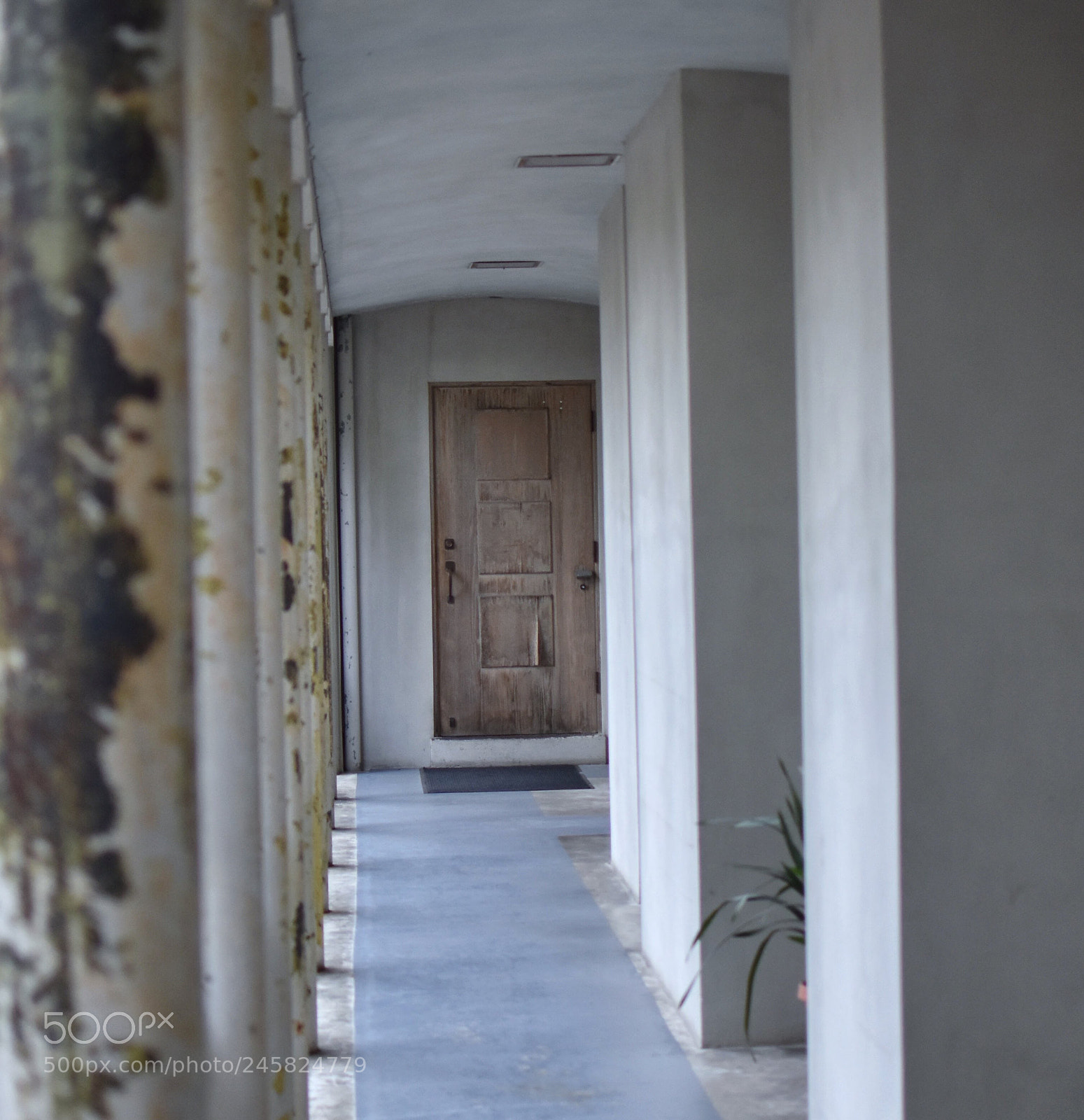 Nikon D3400 sample photo. Door down a hallway photography