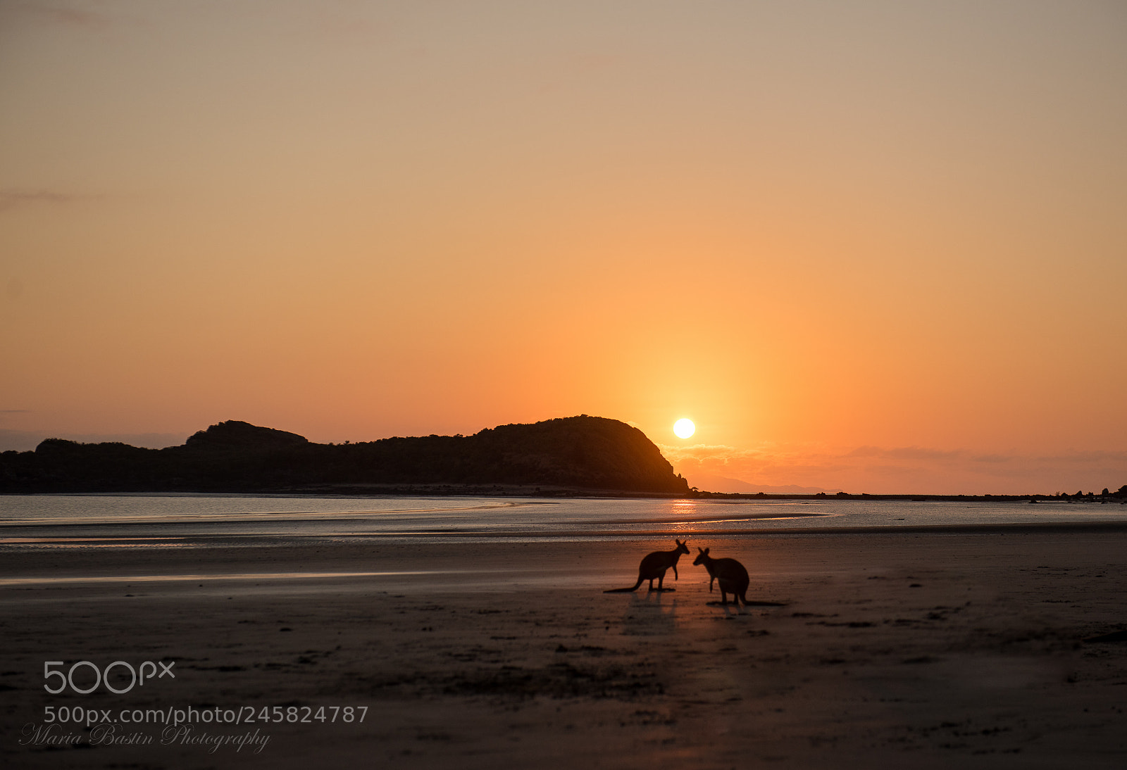 Nikon D810 sample photo. Aussie sunrise photography