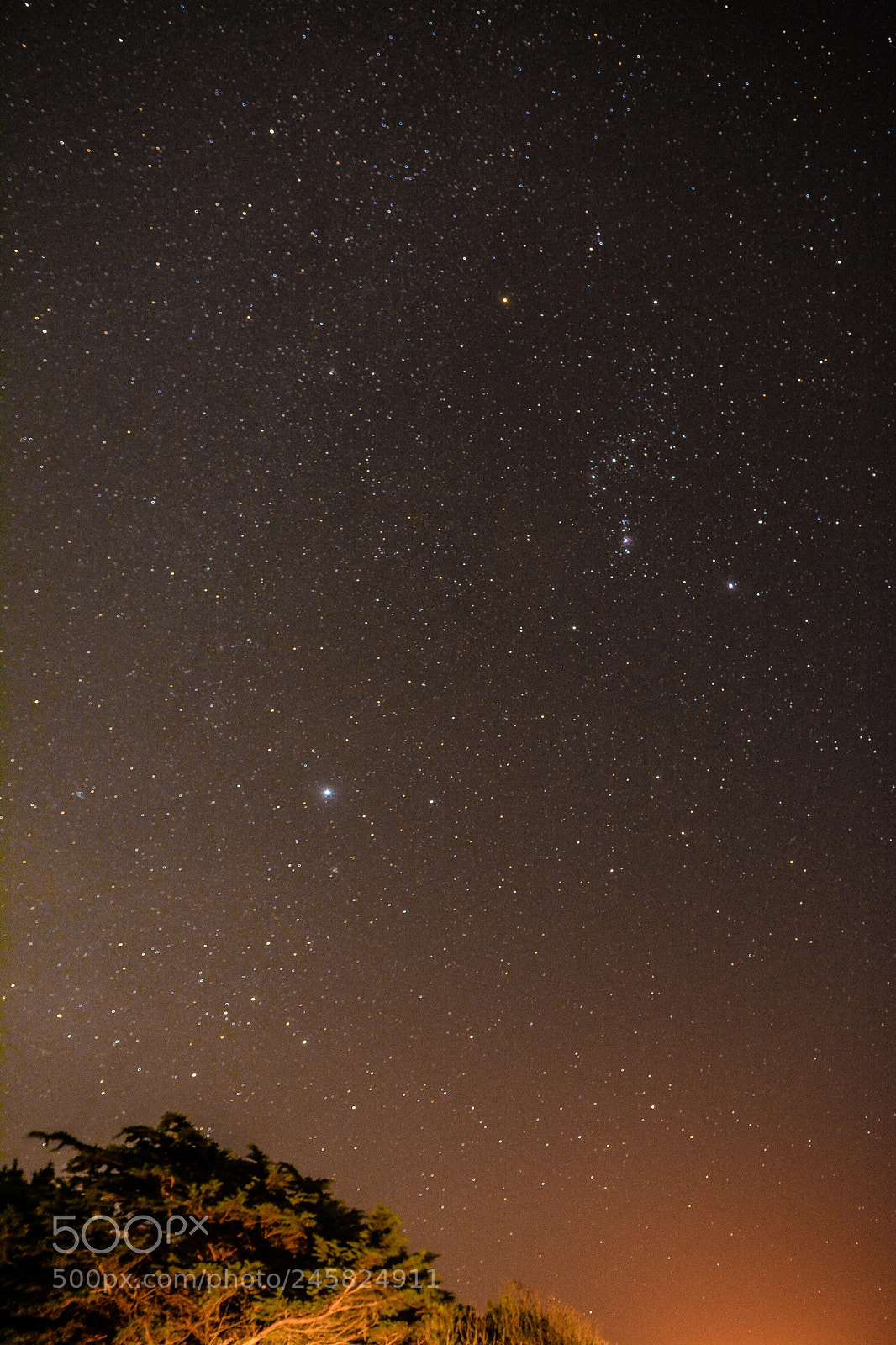 Nikon D7100 sample photo. Half moon bay campsite photography