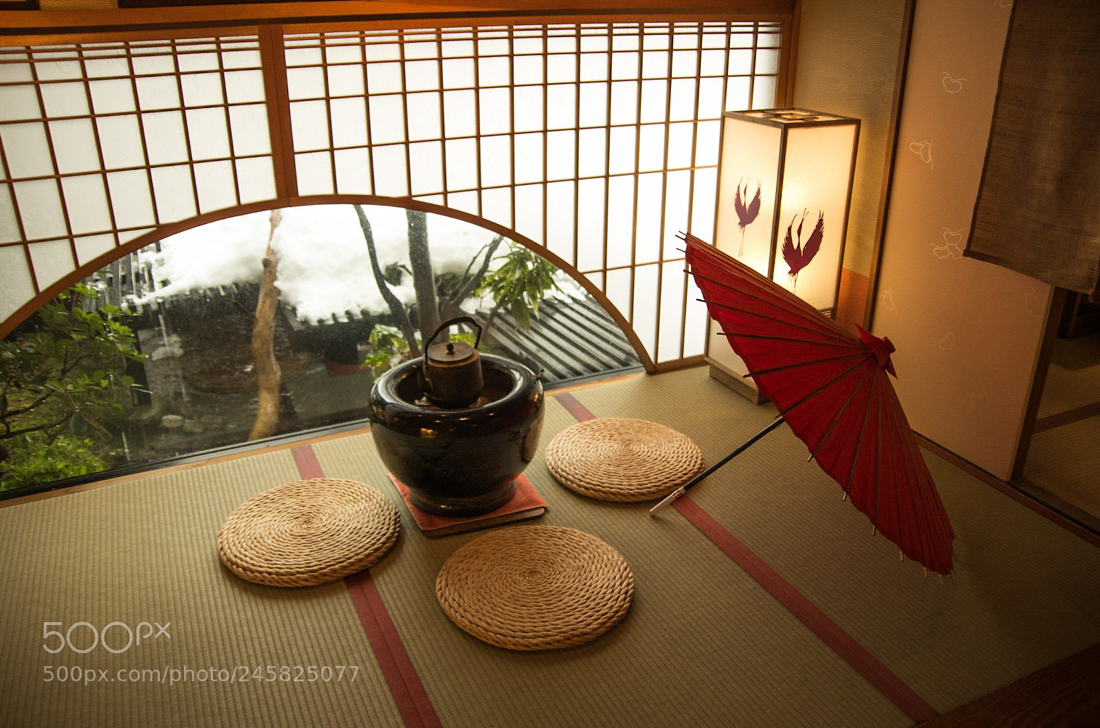 Pentax K-30 sample photo. Untitled photography