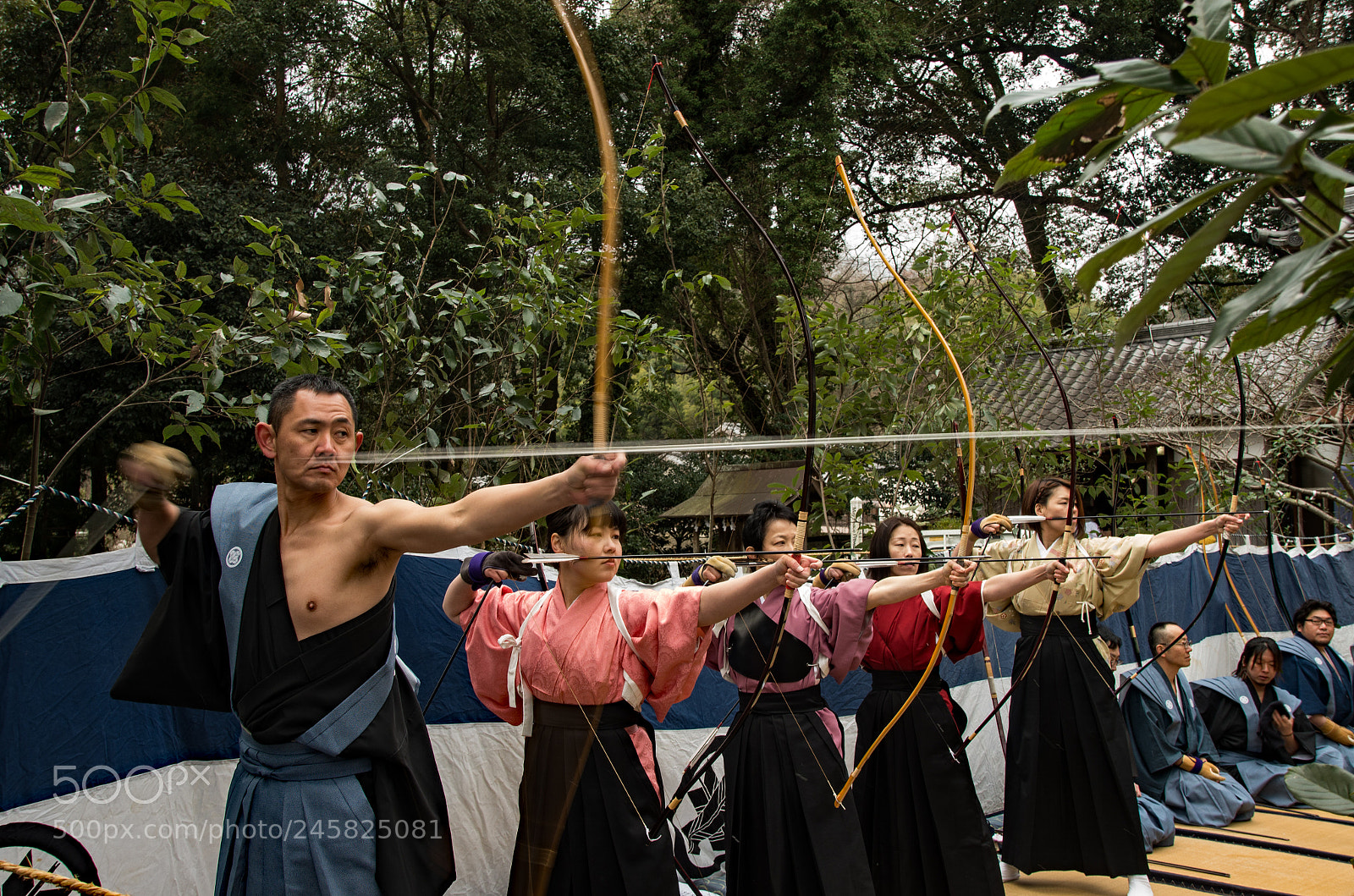 Pentax K-5 IIs sample photo. Trajectory of arrow photography