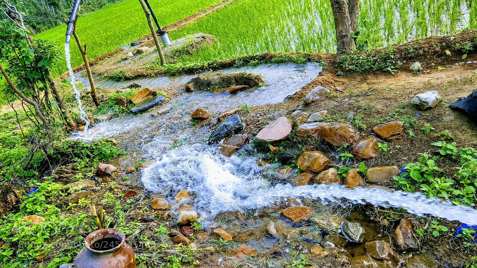 Xiaomi Redmi Note 4 sample photo. Untitled photography