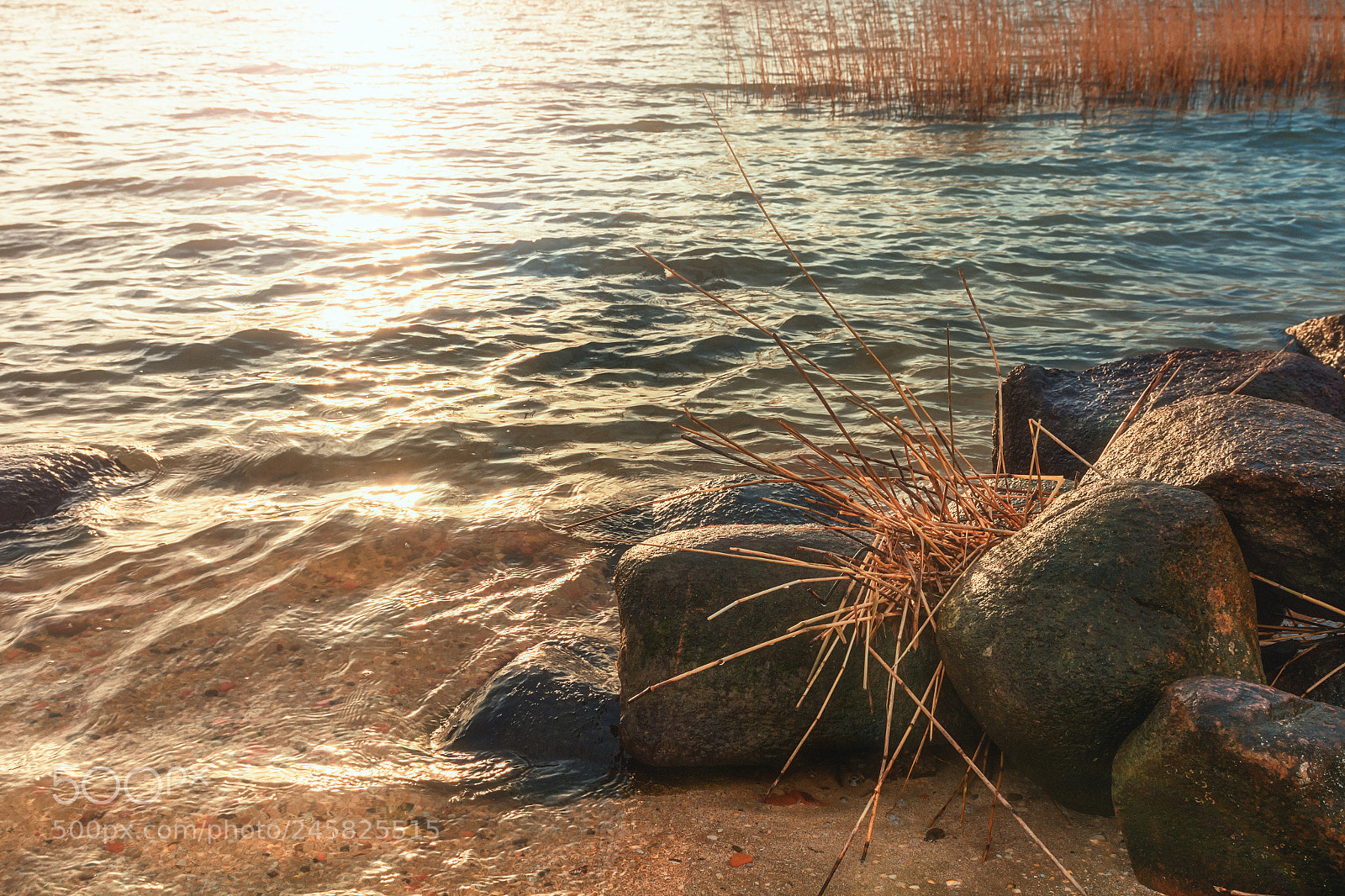 Nikon D7100 sample photo. On the shore of photography
