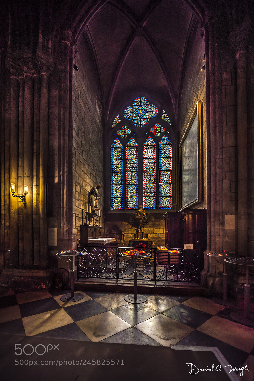 Nikon D810 sample photo. Notre dame interior #17 photography