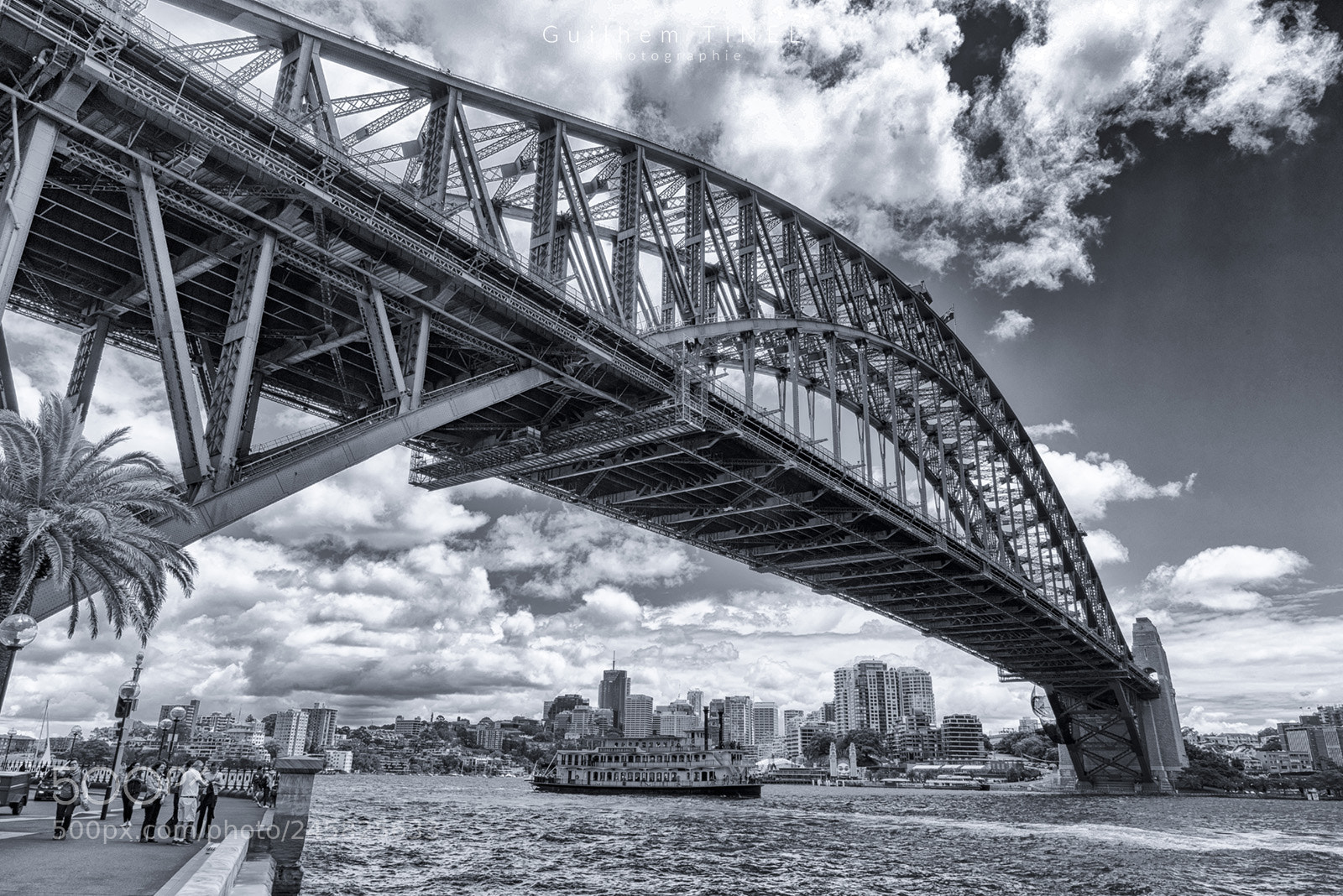 Nikon D810 sample photo. Harbour bridge photography
