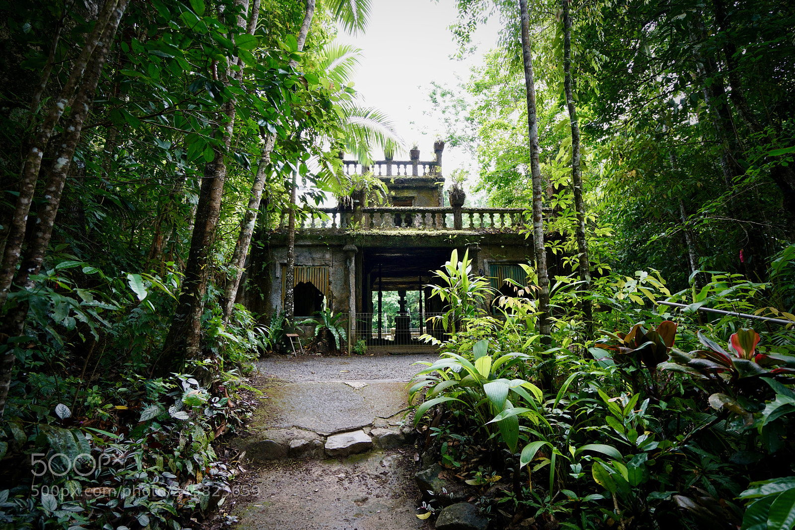 Sony a7R II sample photo. Secret garden photography