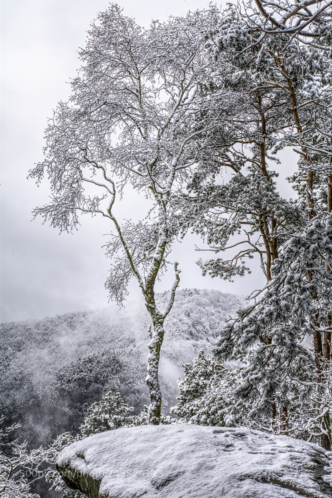 Nikon D7100 sample photo. Palatinate74 photography