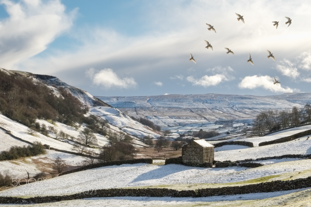 Fujifilm X-T1 sample photo. Doves in swaledale photography