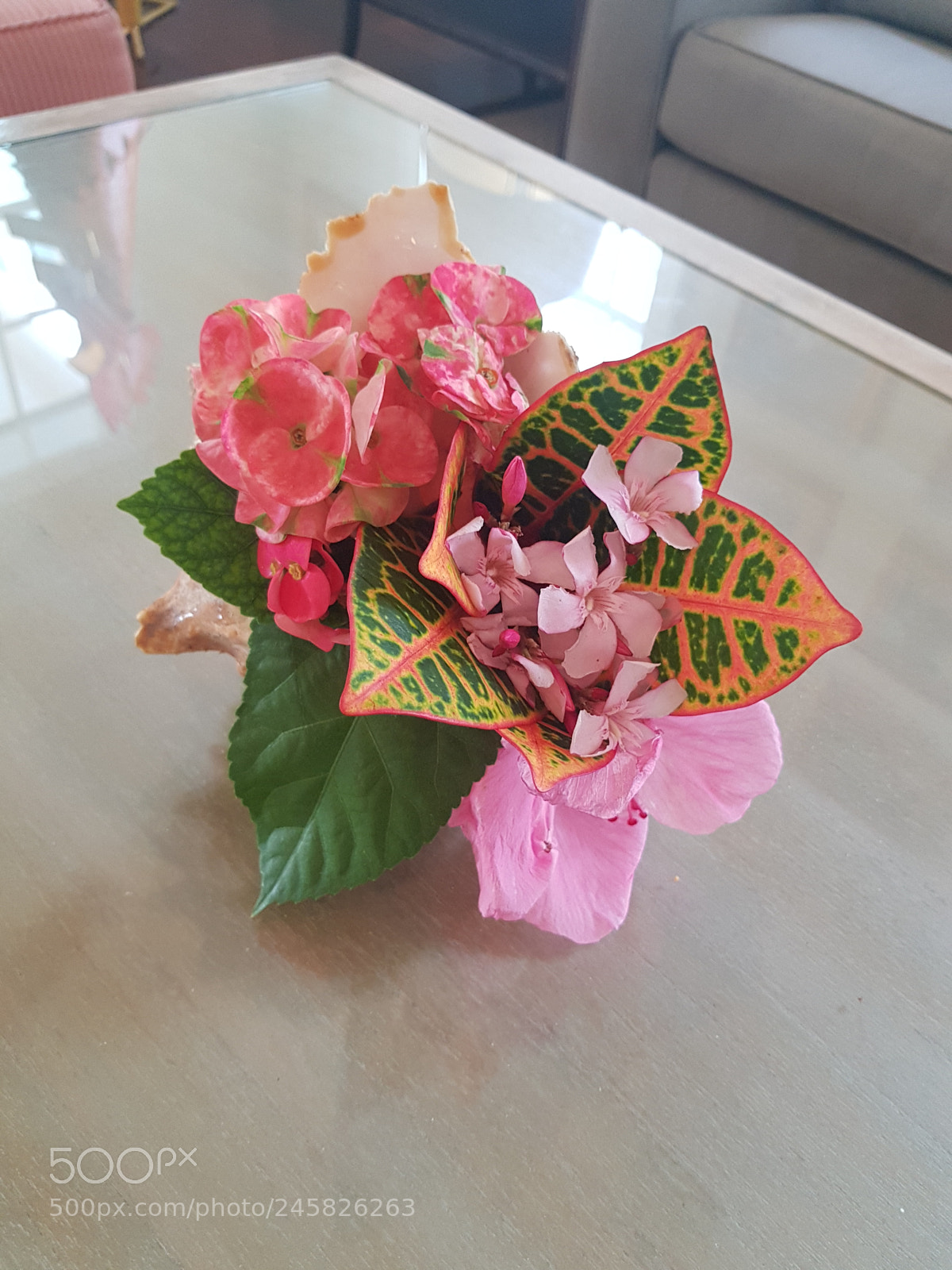 Samsung Galaxy S8+ sample photo. Untitled photography