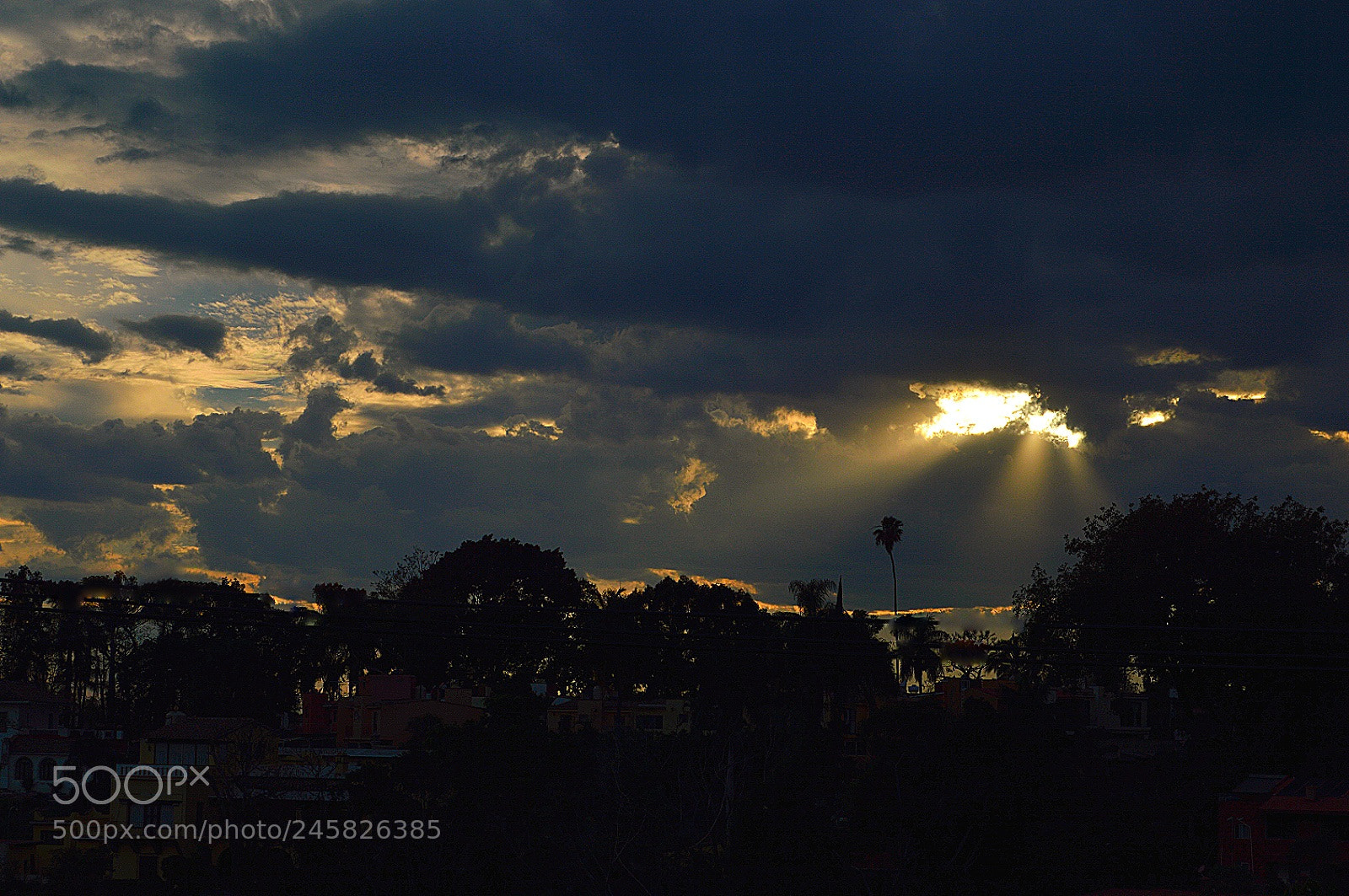 Nikon D3200 sample photo. Untitled photography