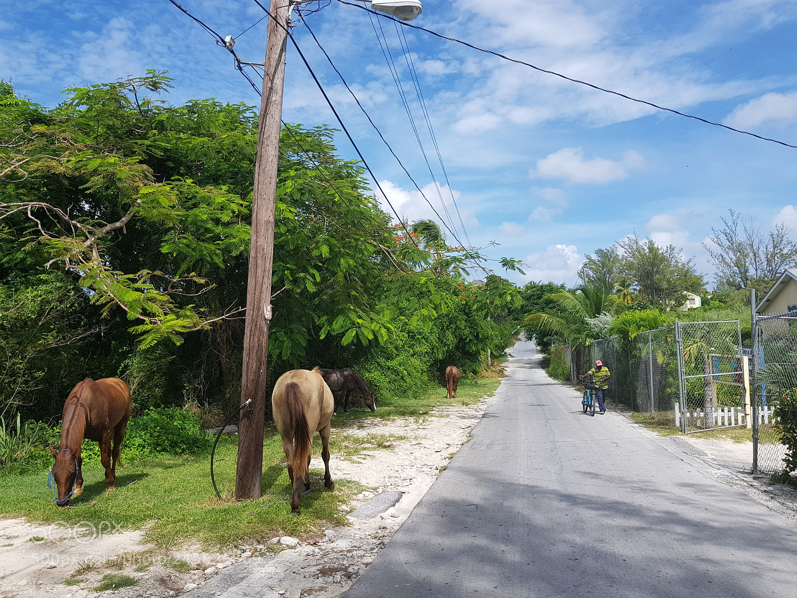 Samsung Galaxy S8+ sample photo. Untitled photography