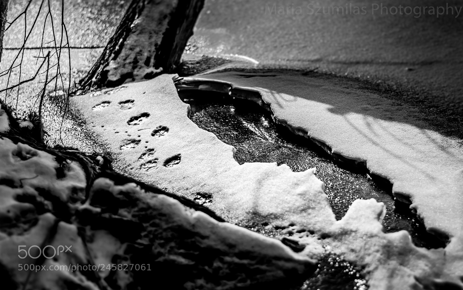 Nikon D7100 sample photo. In the footsteps of photography