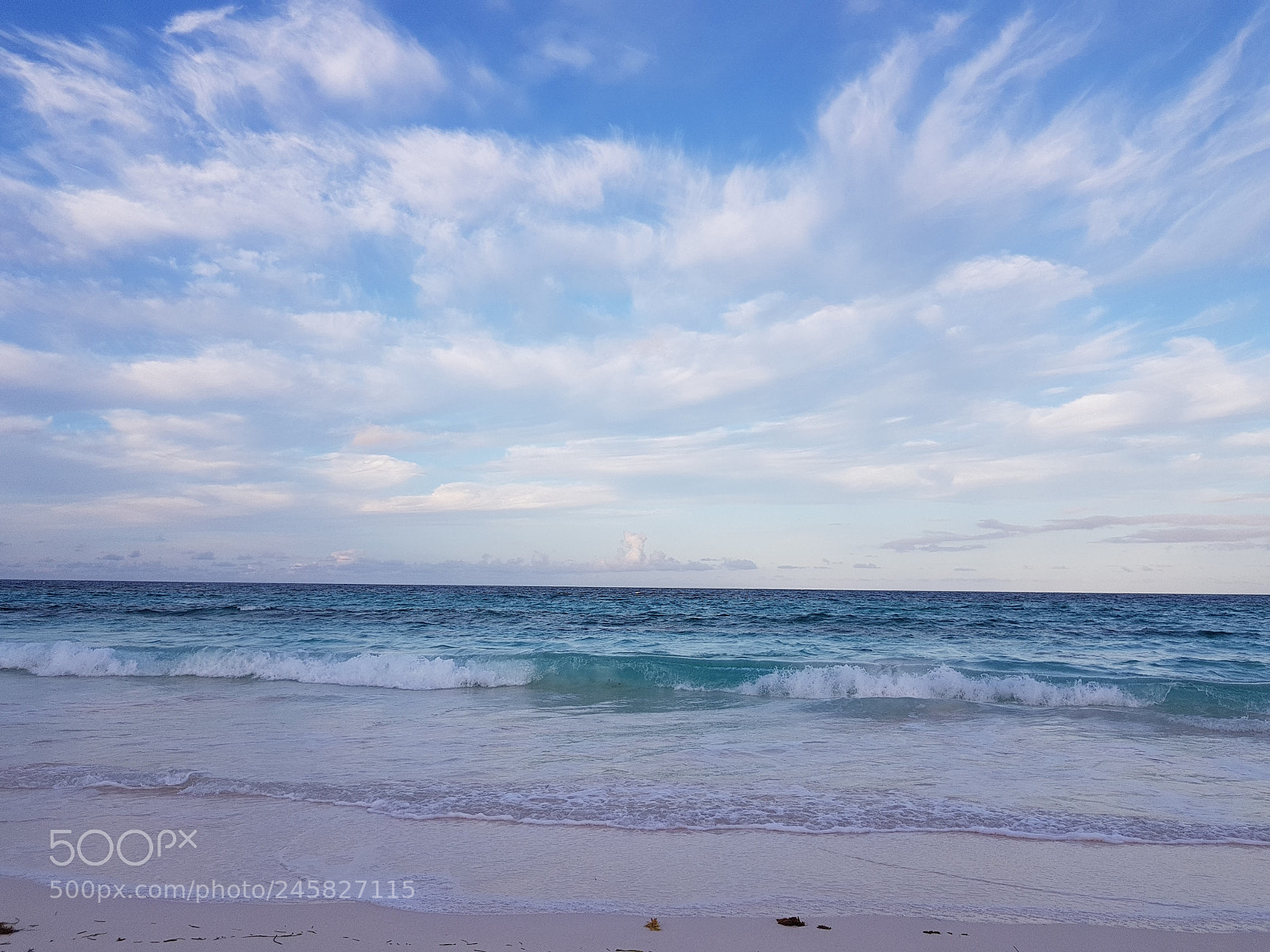 Samsung Galaxy S8+ sample photo. Untitled photography